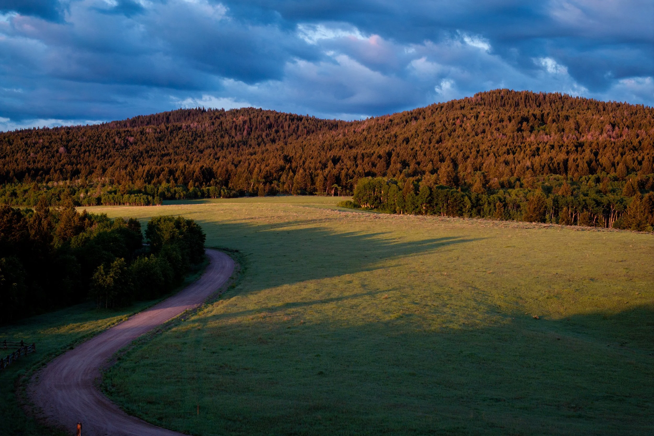 Wilder Ranch_DJI_20250604051833_0075_D.jpg