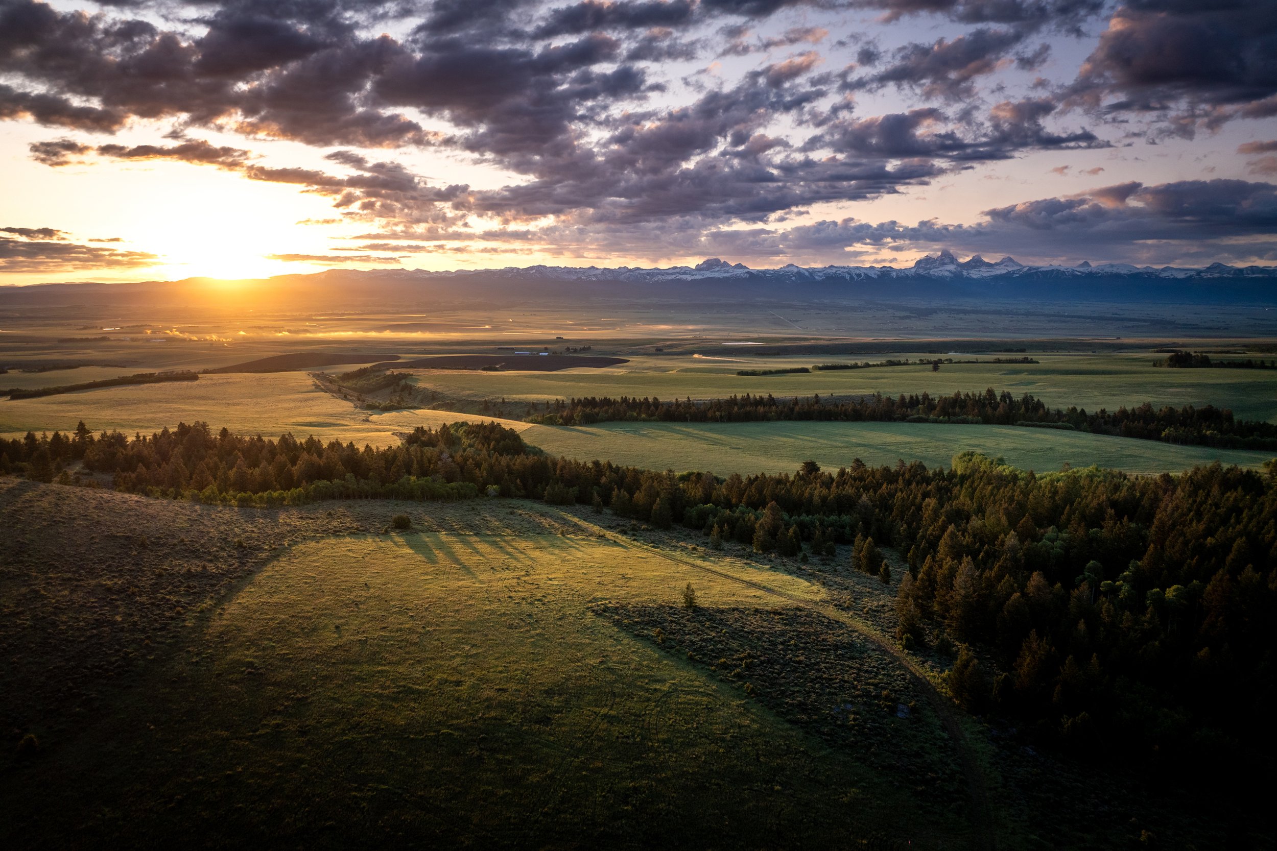 Wilder Ranch_DJI_20250604051959_0081_D.jpg