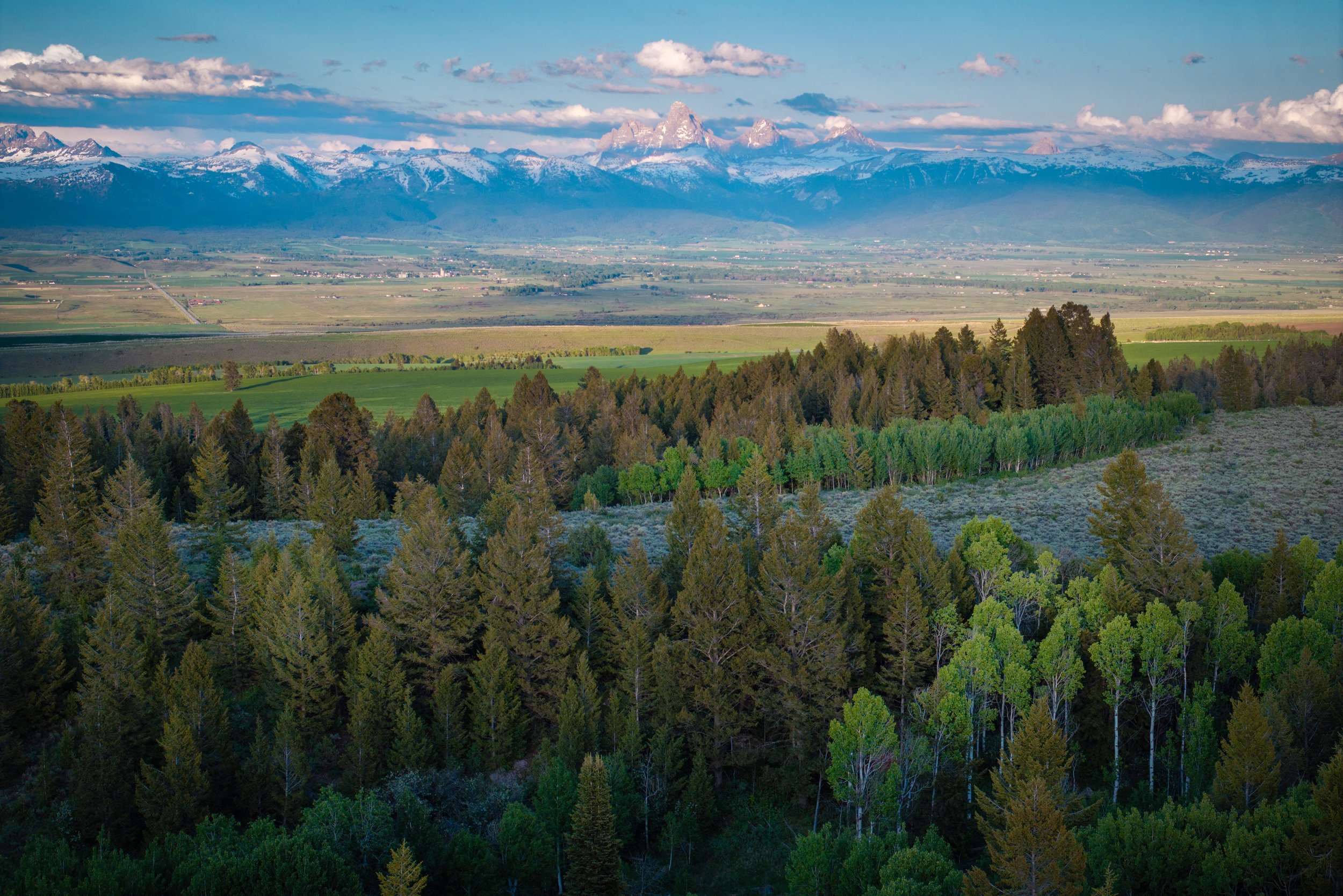 Wilder Ranch_DJI_20250604194912_0139_D.jpg