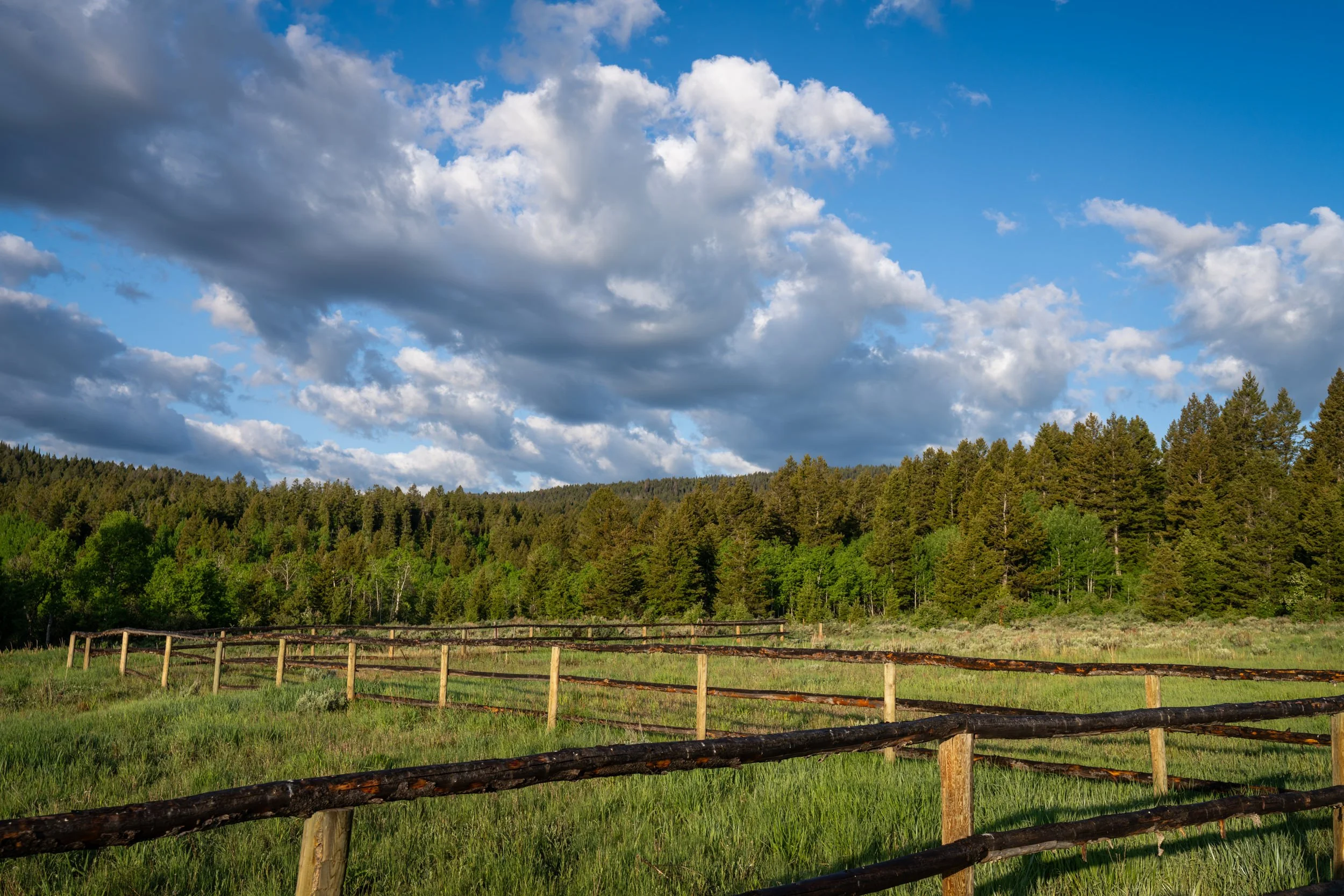 Wilder Ranch_BEN00081.jpg