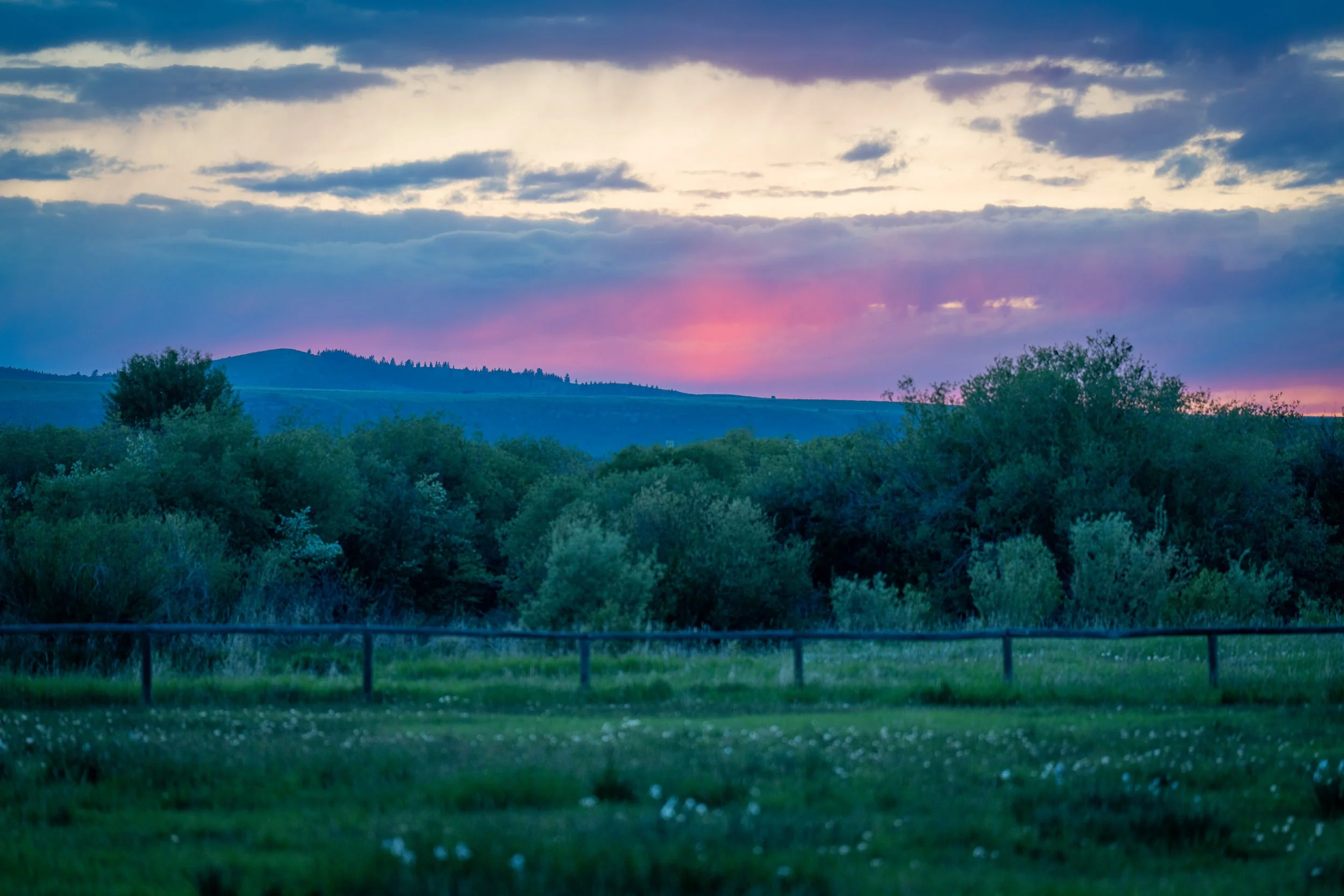 Wilder Ranch_BEN00276.jpg