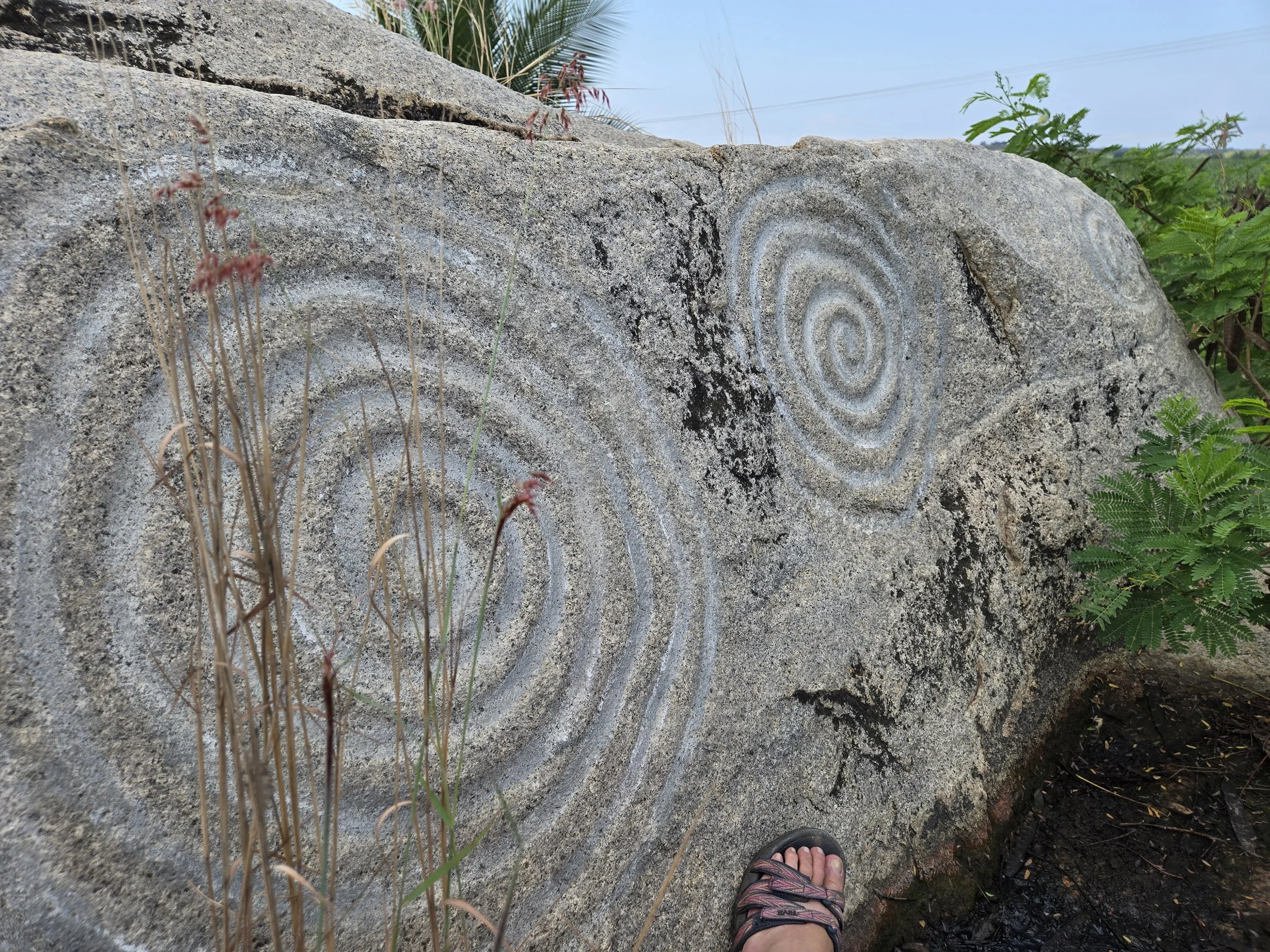 Petroglyphs in La Pintada