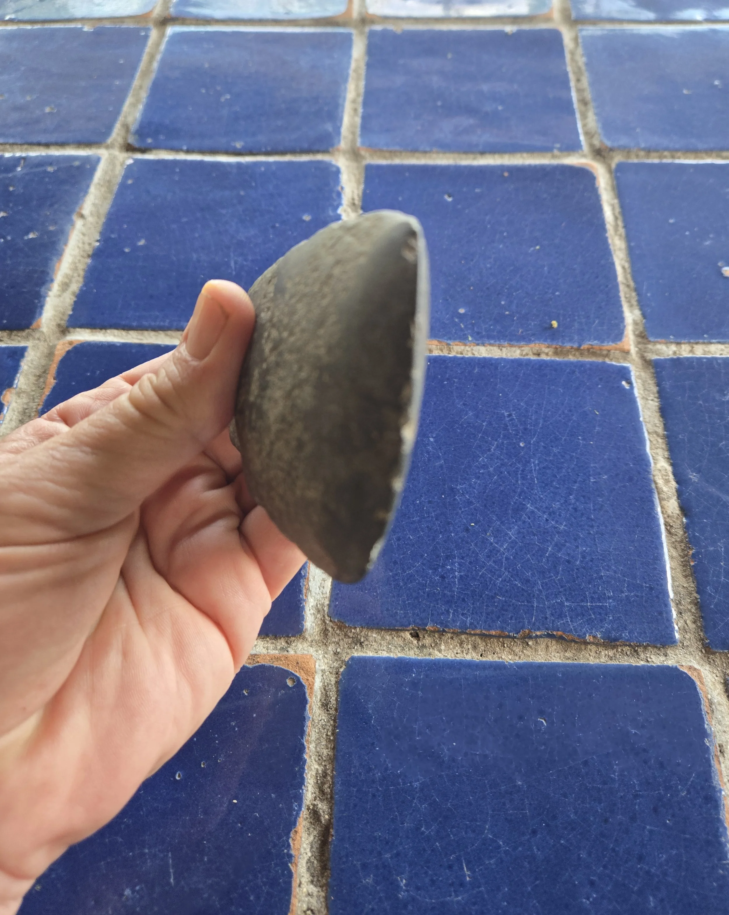 So much prehistoric history to be discovered