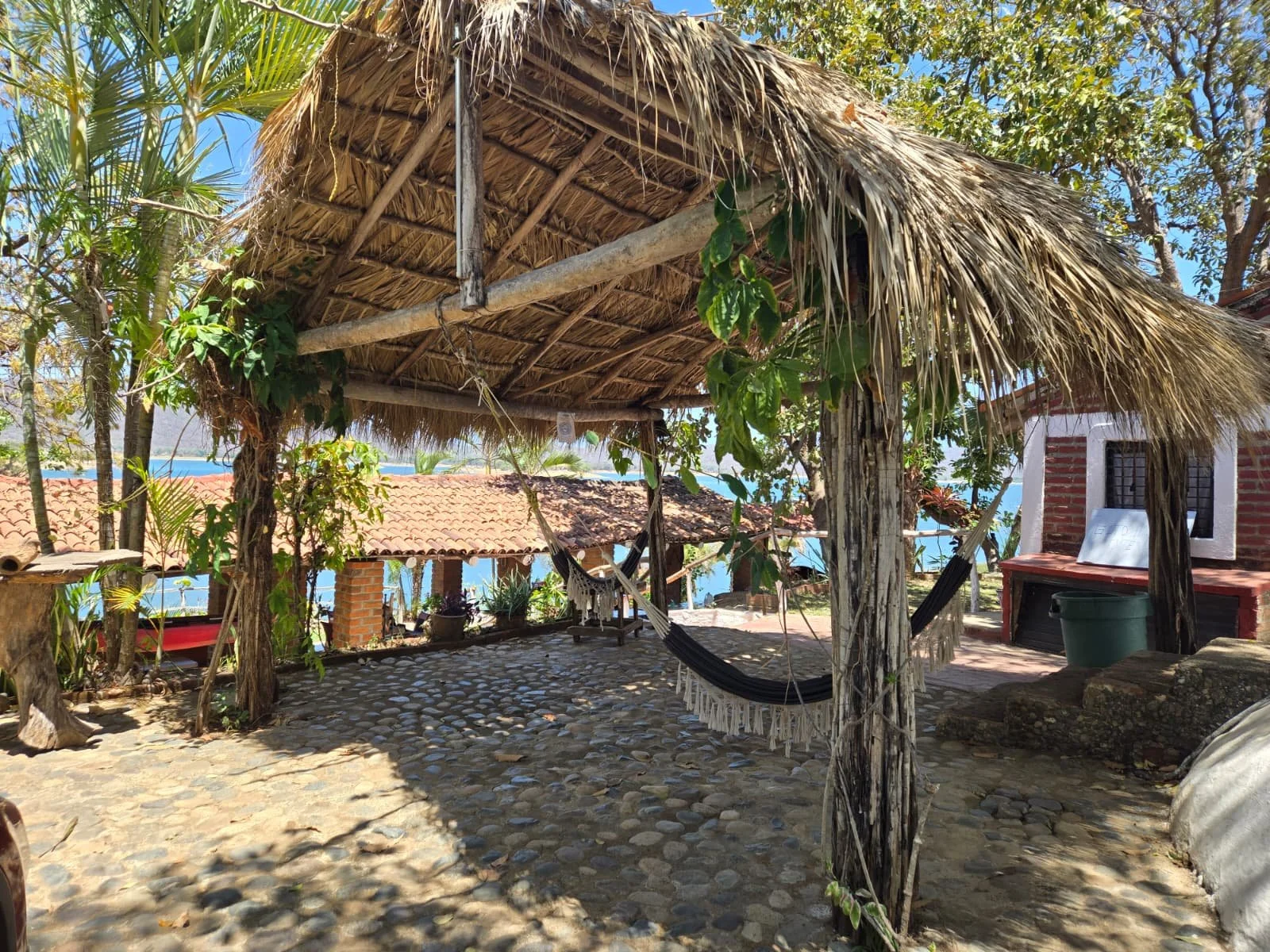 New Year, New Beginnings