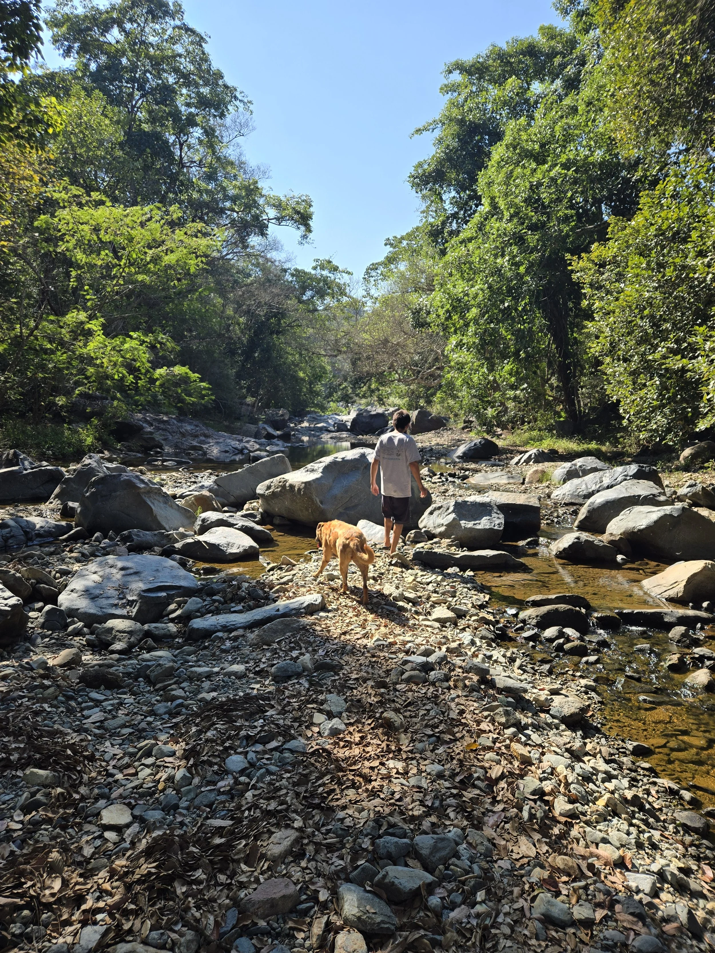 A short walk upriver leads to a lovely waterfall