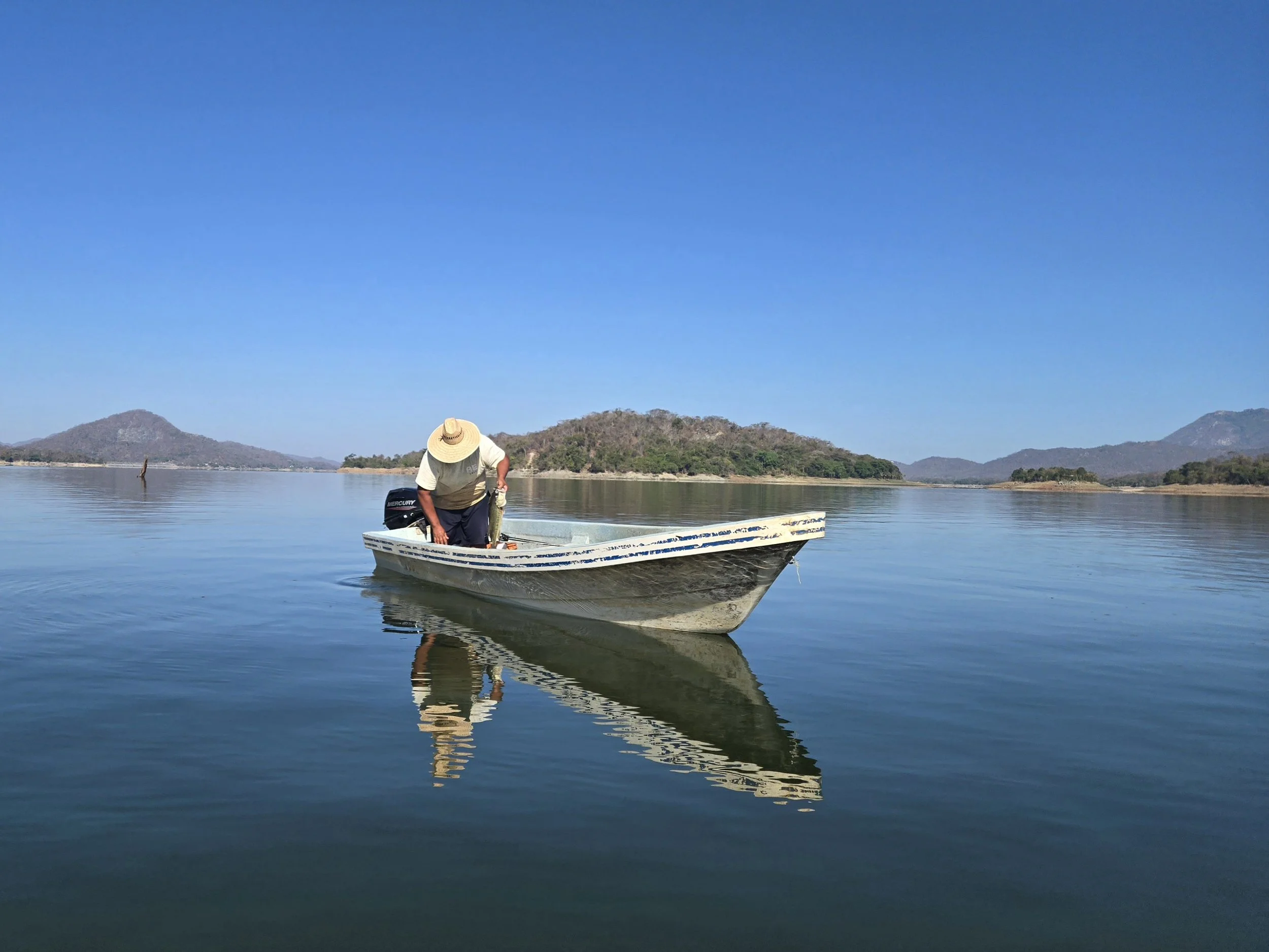 Fishing for bass and tilapia