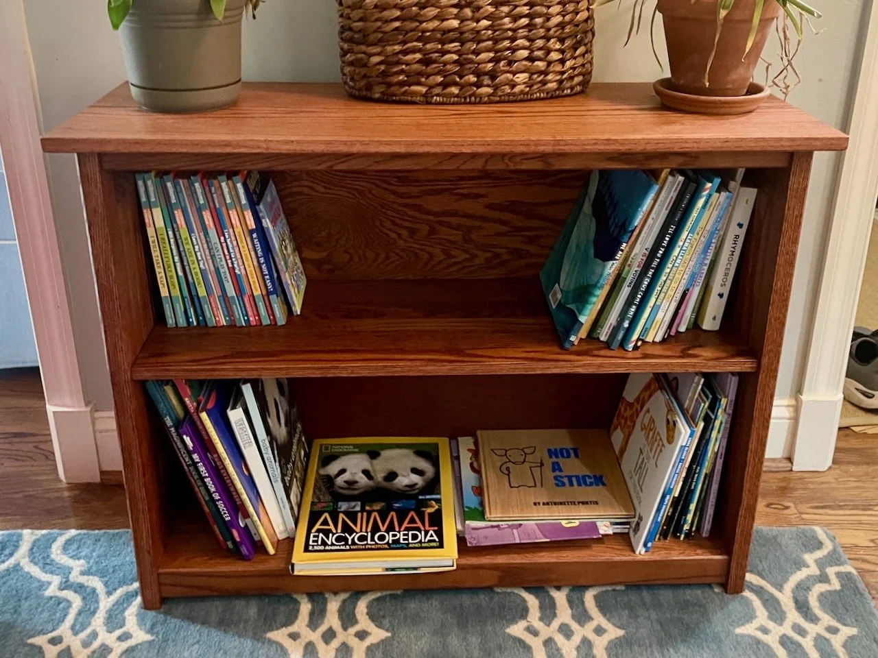 leah bookshelf 1.jpeg