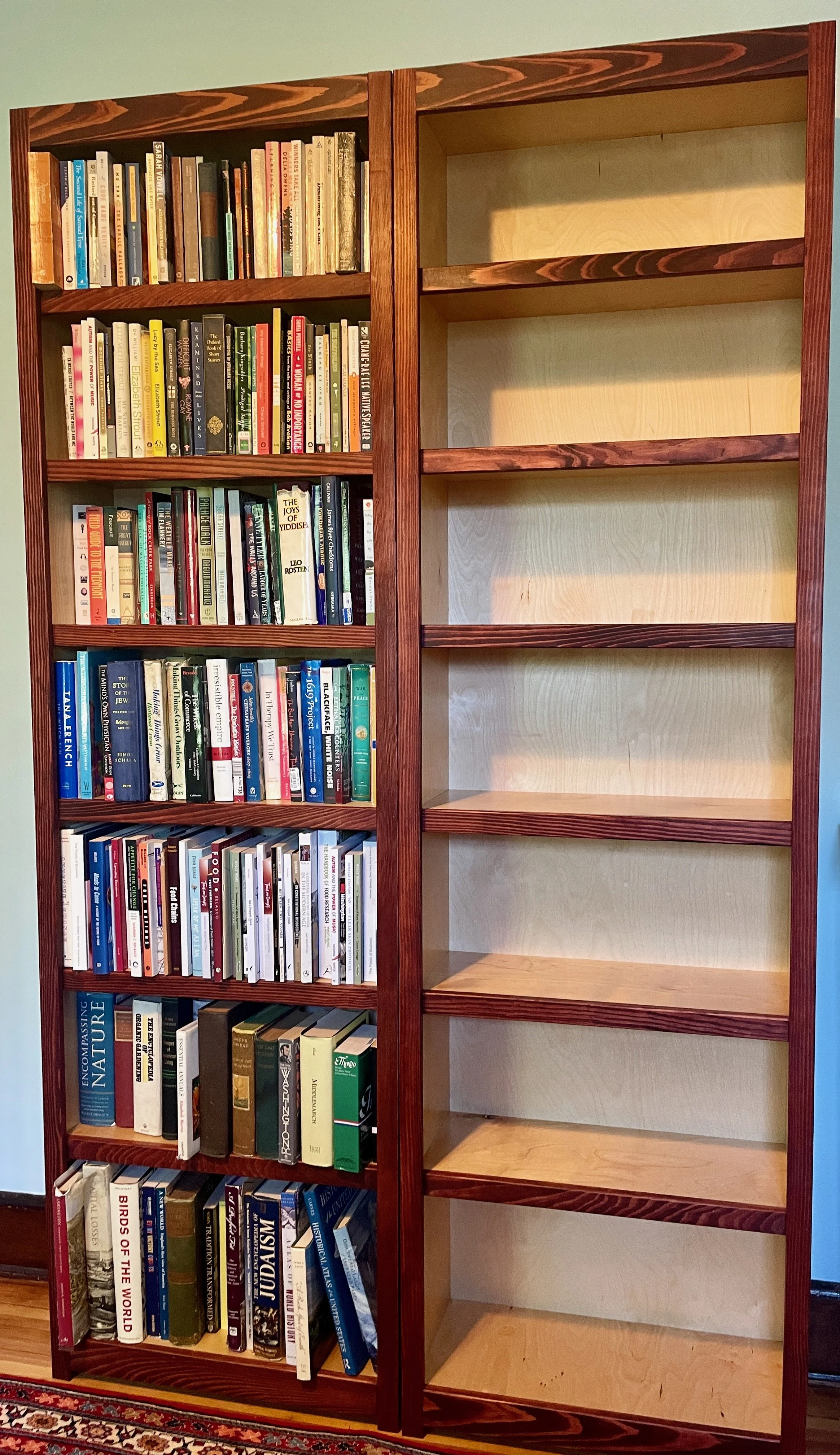 two tone bookcases 1.jpeg