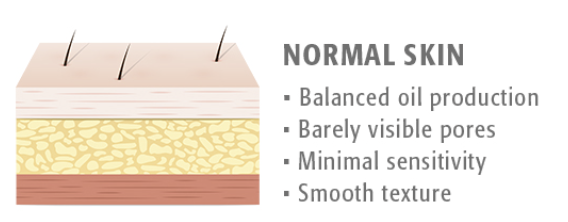 Skin types and appopriate skin care. Part 3: Combination and normal skin. 