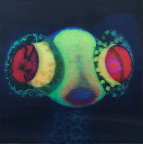 Osees ‎– SORCS 80