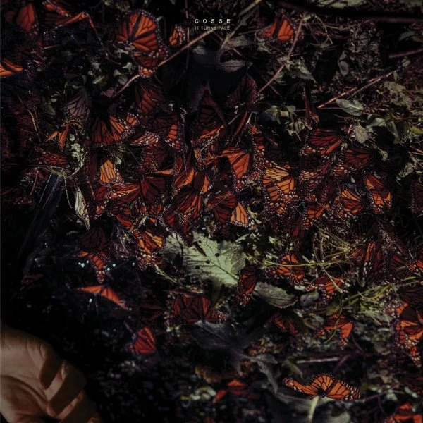 Cosse – It Turns Pale