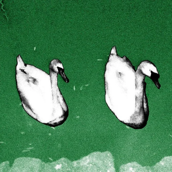 Cathedrale – Poison