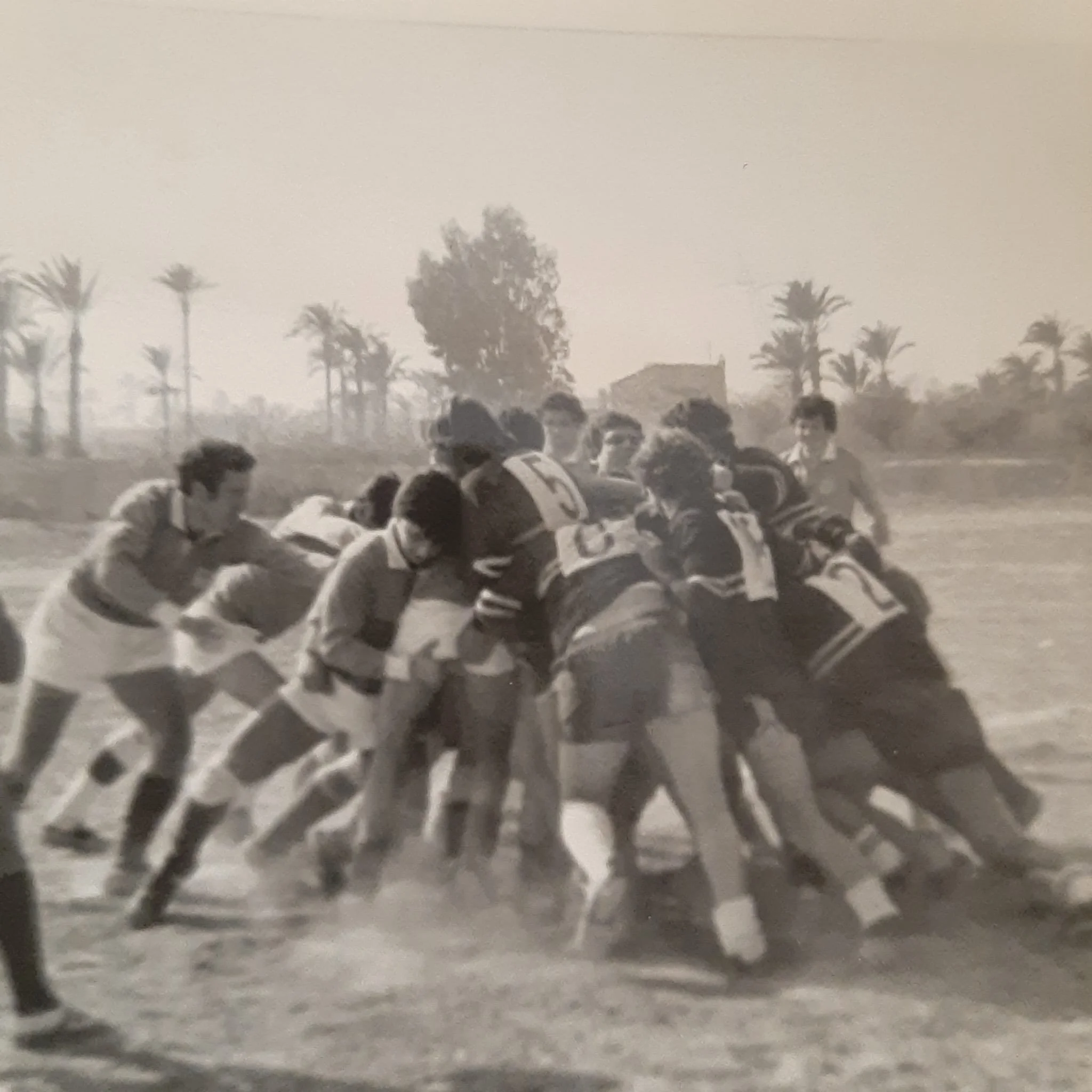 WhatsApp Image 2025-10-14 at 18.04.49 (7).jpeg