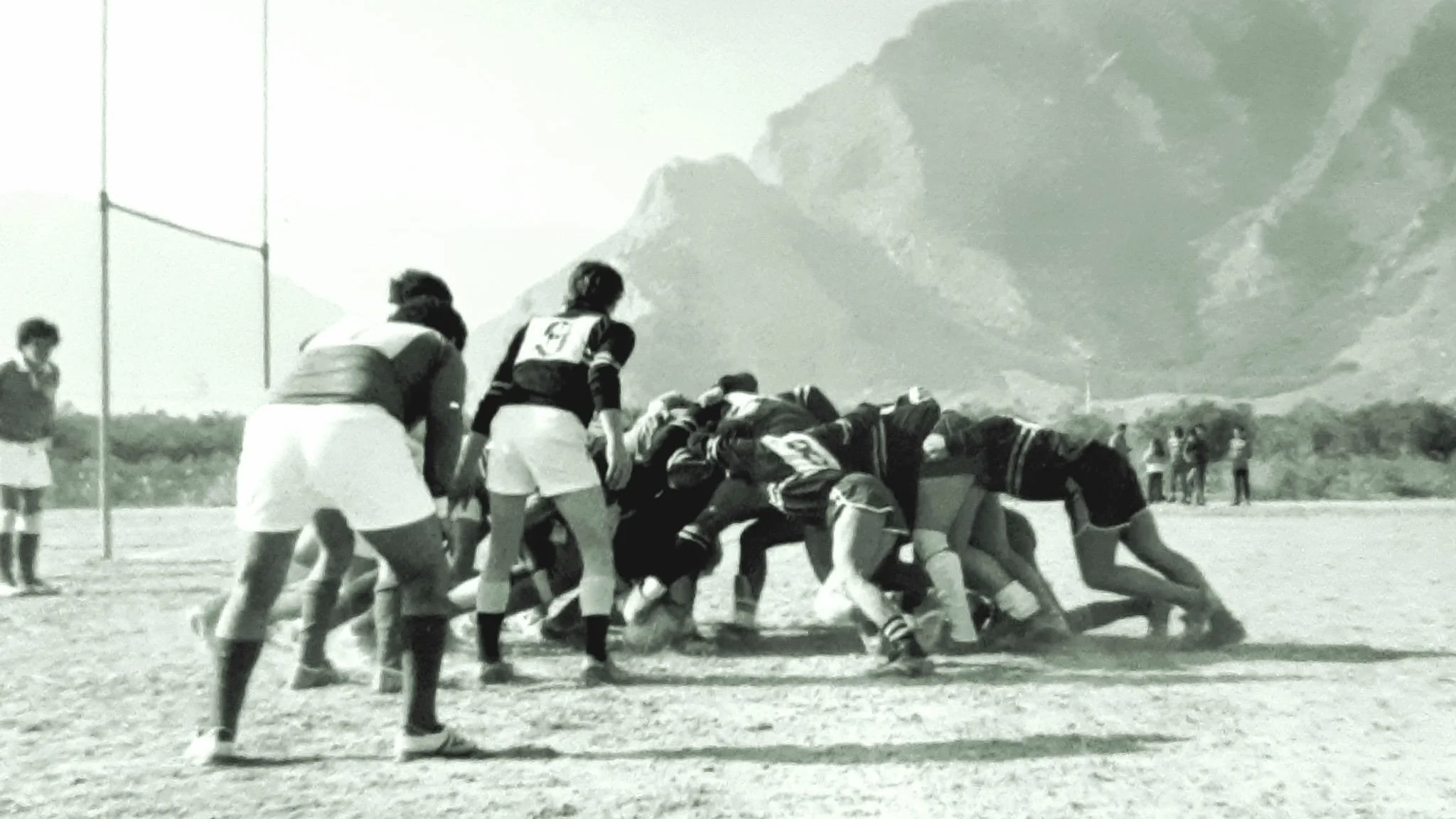 WhatsApp Image 2025-10-14 at 18.04.49 (3).jpeg