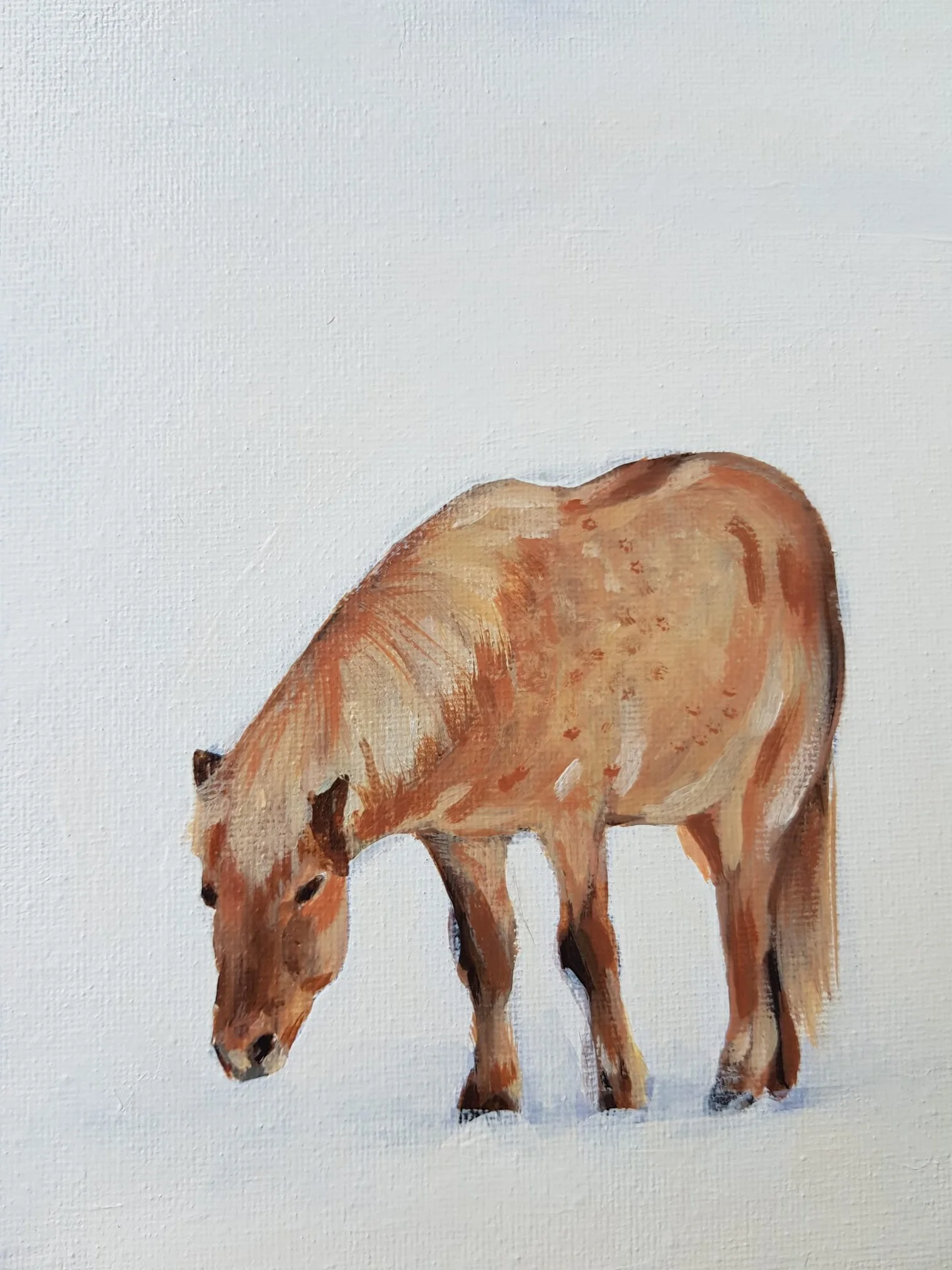 In the Winter Field_detail 1.jpg