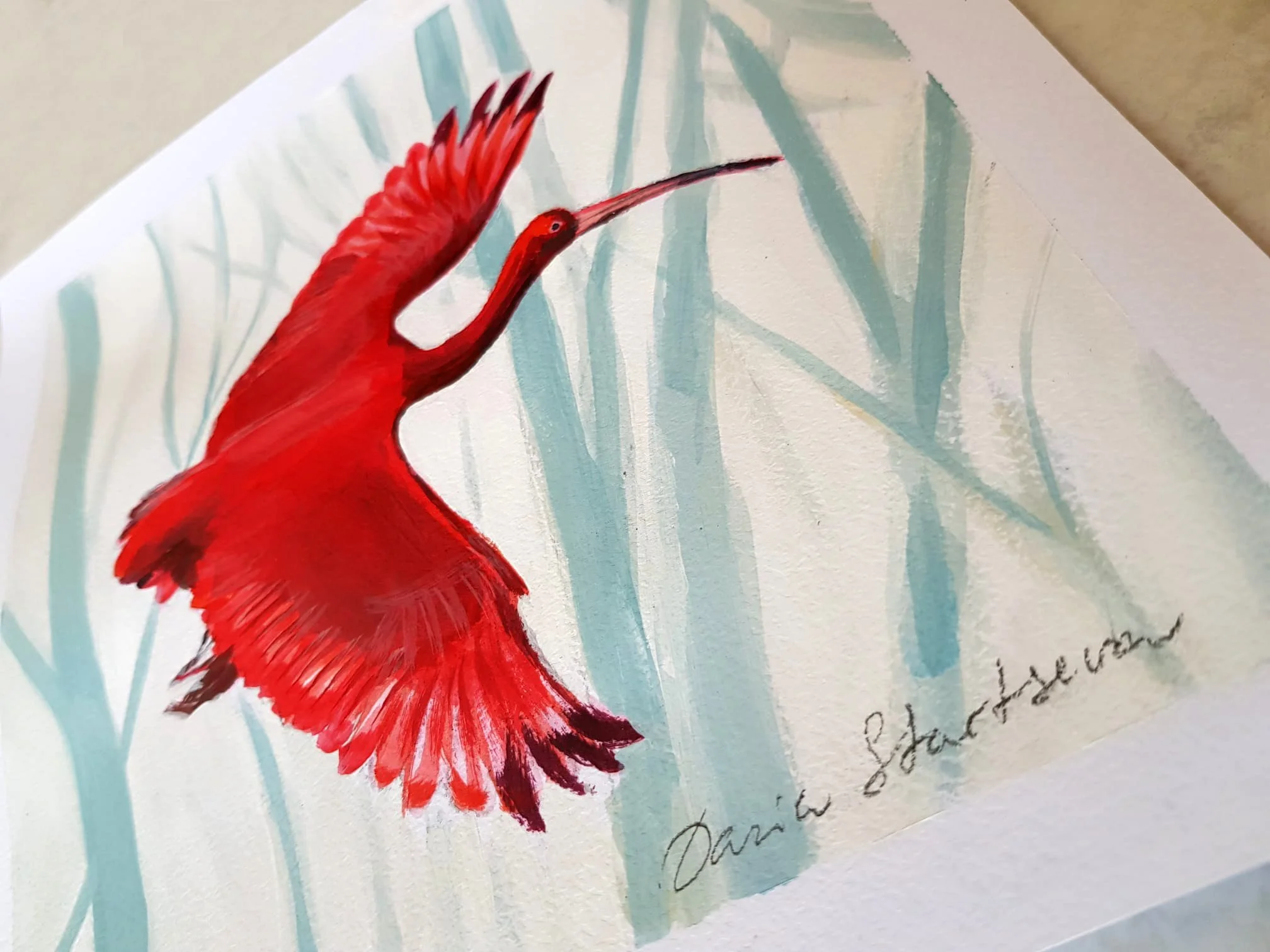 Scarlet Ibis Flying_20x20cm_detail.jpg