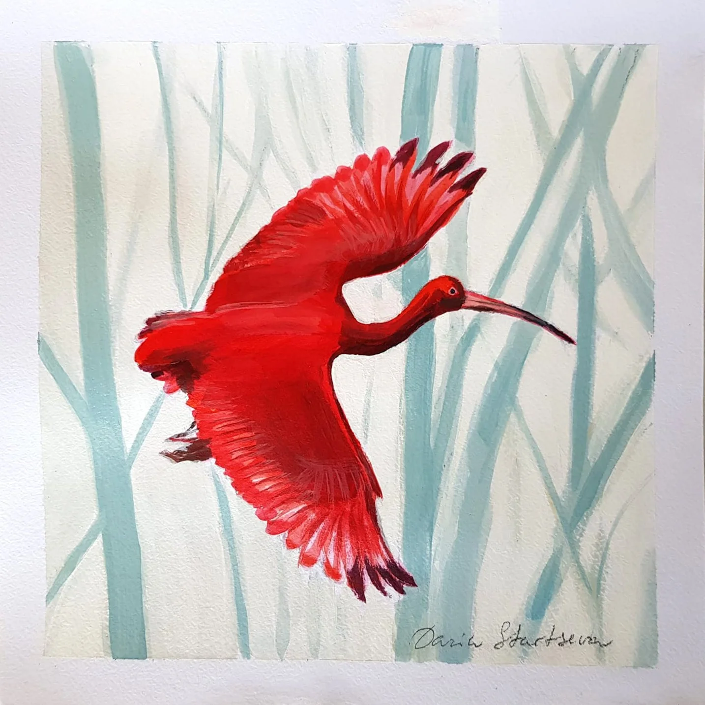 Scarlet Ibis Flying_20x20cm_front.jpg
