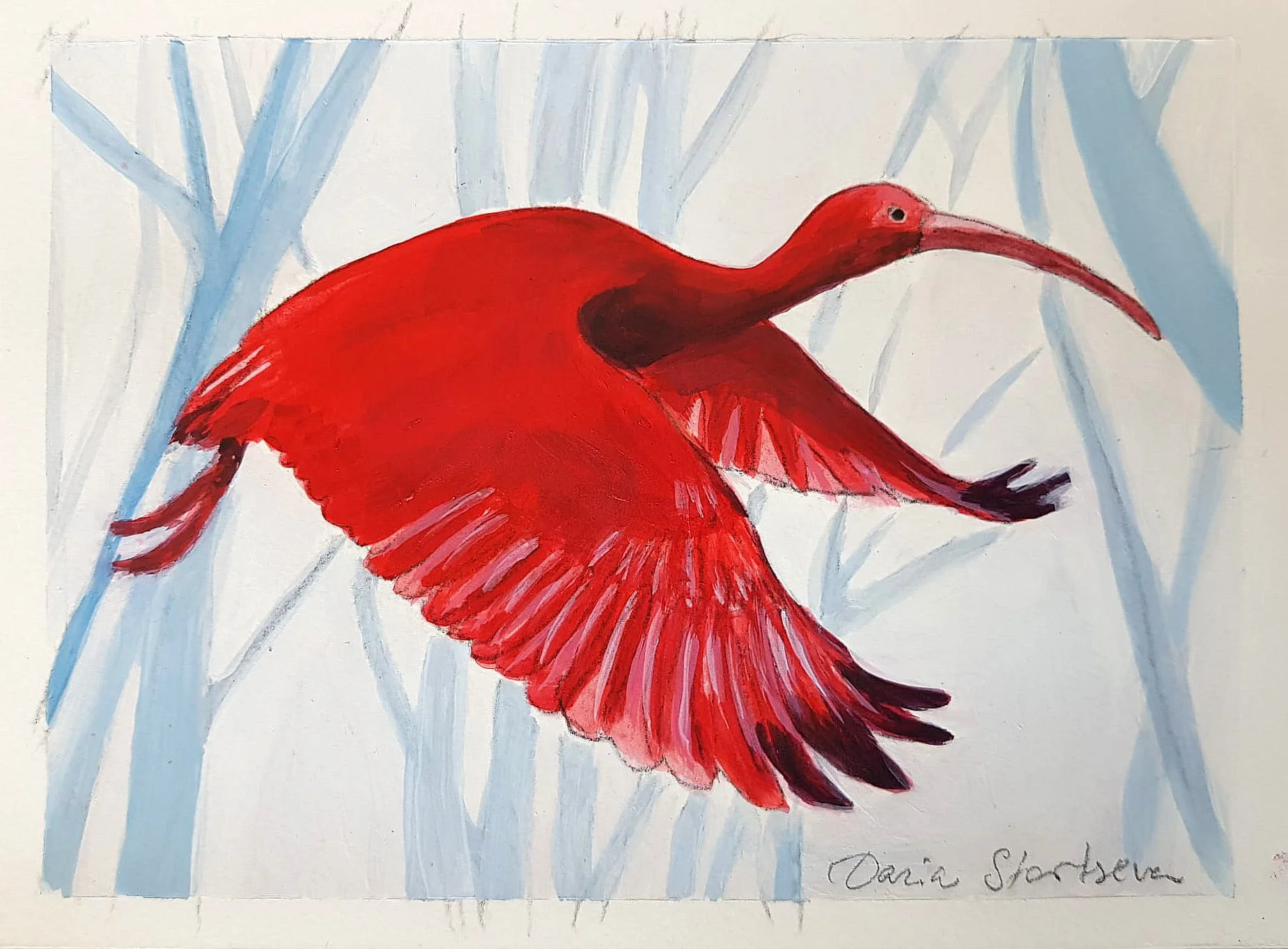 Scarlet Ibis Flying_18x13cm_front.jpg
