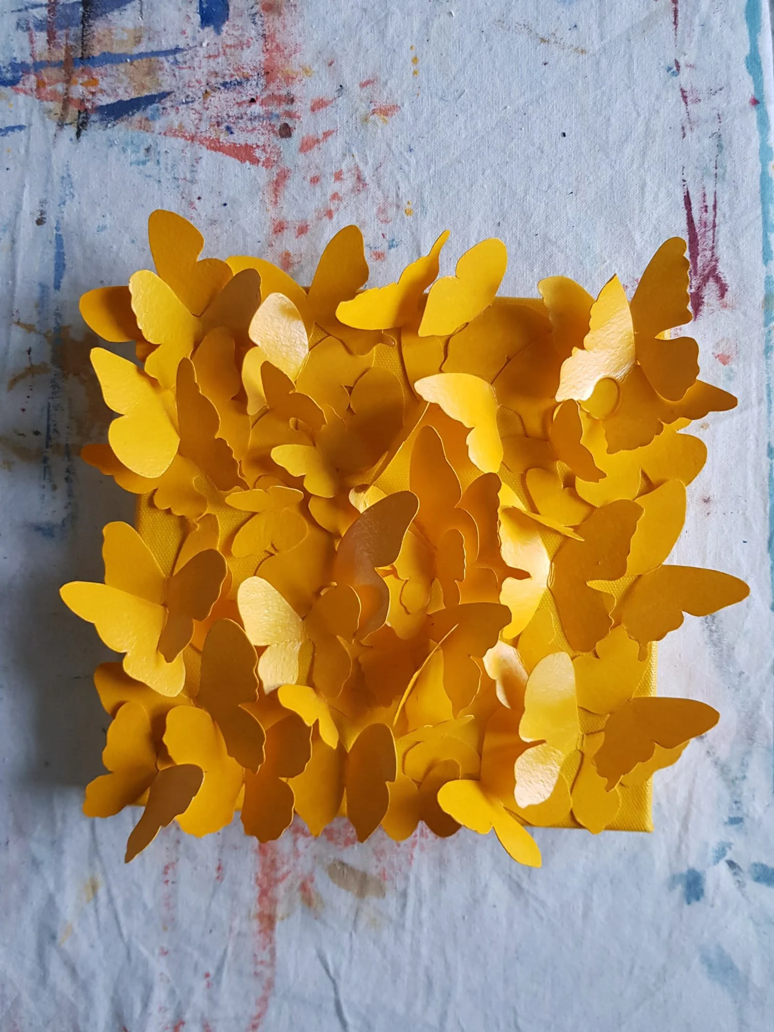 Yellow little swarm_front.jpg