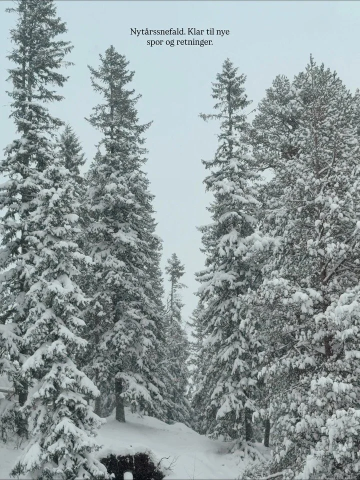 Nyt&aring;rsrullen🩶 Jeg h&aring;ber, I er kommet godt fra start i 2026. Vi tog p&aring; ski. Med nyt&aring;rsvennerne. Og b&oslash;d det nye &aring;r velkommen med snefald, -15 og kolde kinder. 

F&oslash;rste gang nord p&aring;☃️

Og nyt&aring;rssk