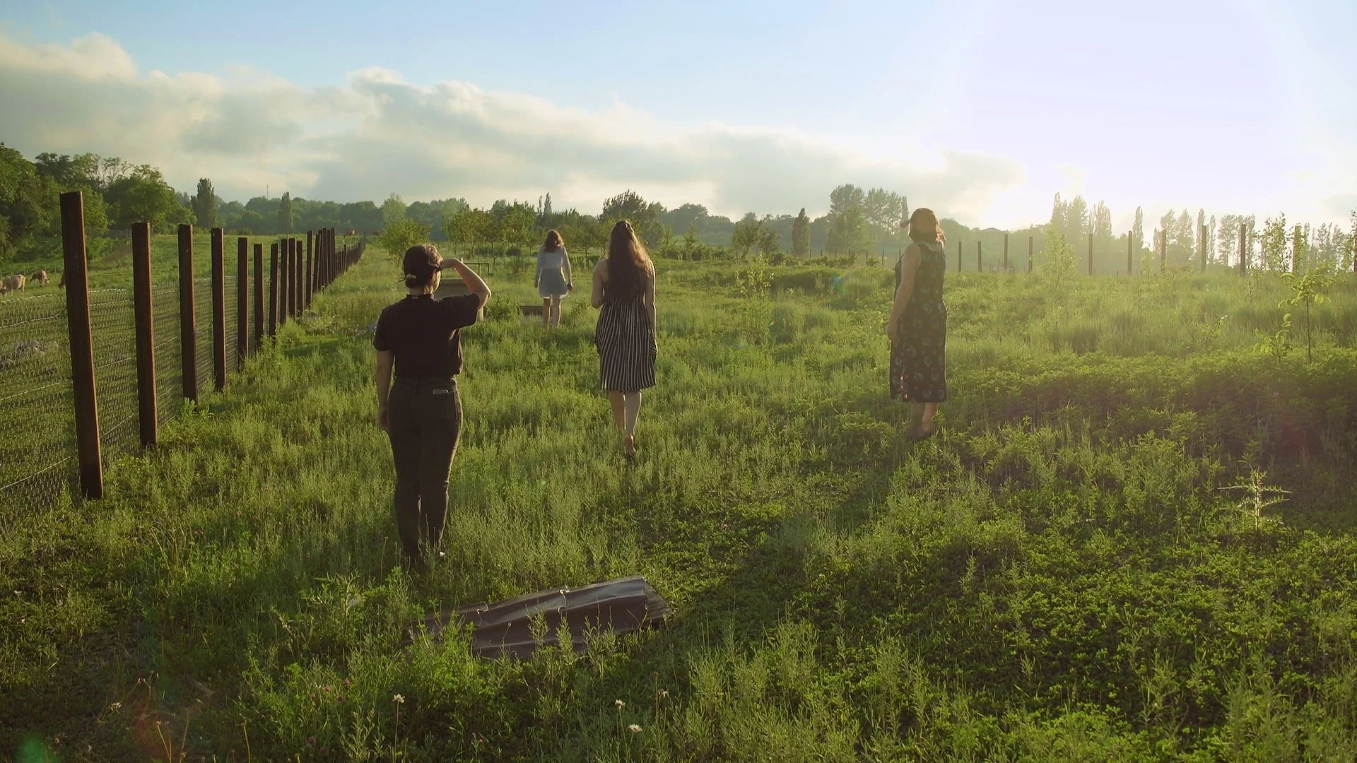 The Season of Wild Plums