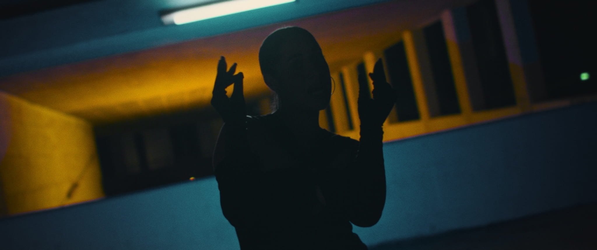 Still 2026-01-14 220841_1.1.2.jpg