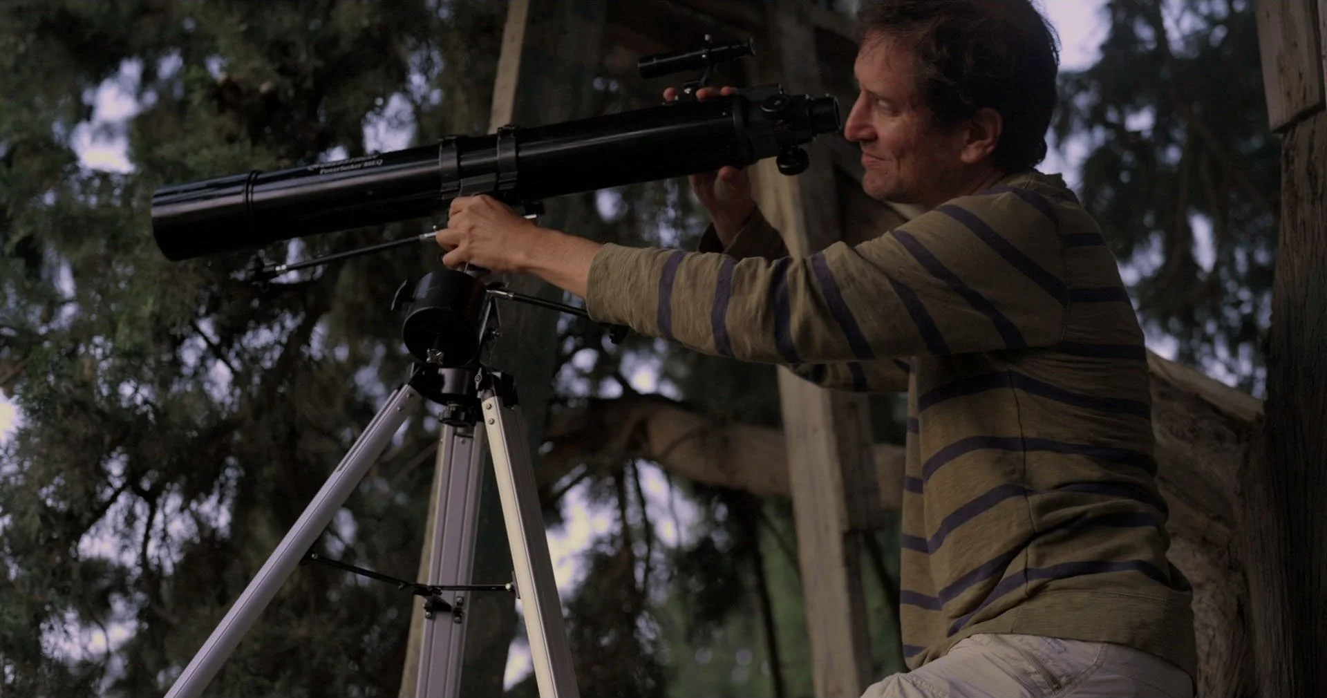 Strange Birds_1.101.1-min.jpg