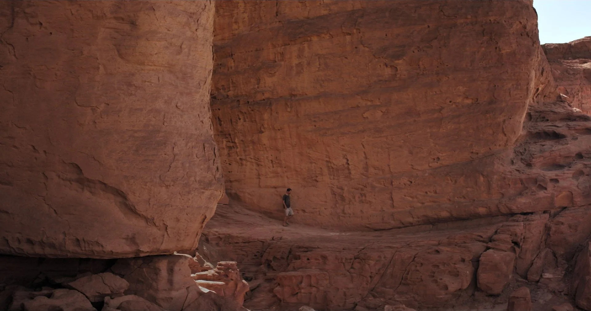 Strange Birds_1.3.1-min.jpg