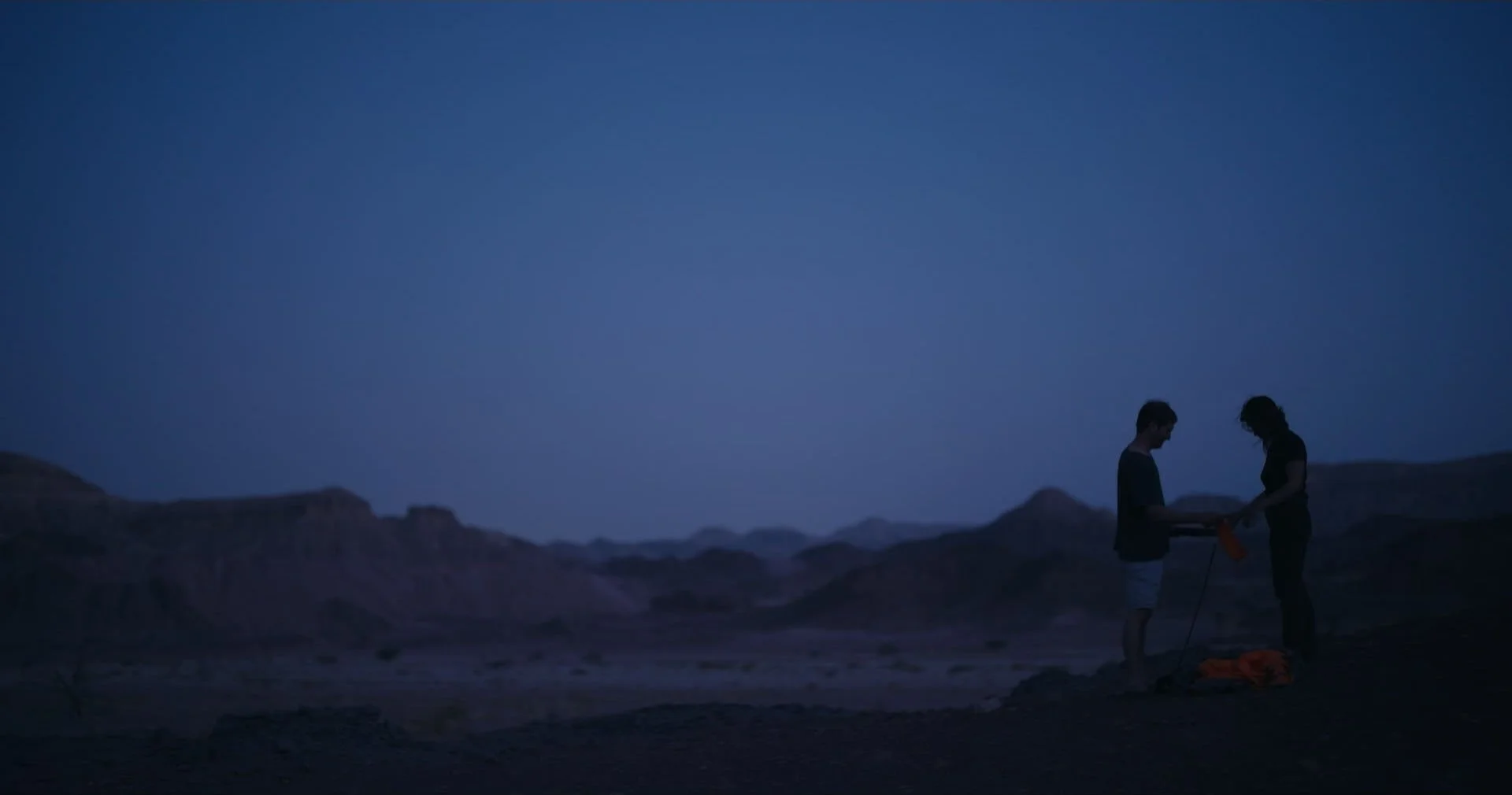 Strange Birds_1.8.1-min.jpg