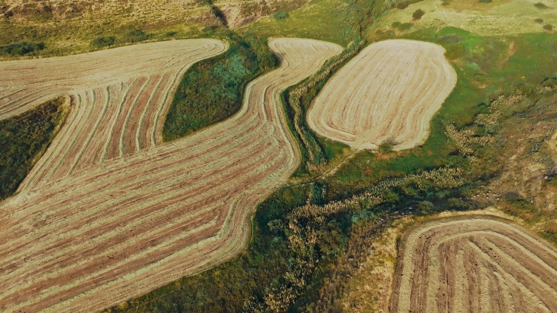 Beshem Haav_1.103.1-min.jpg