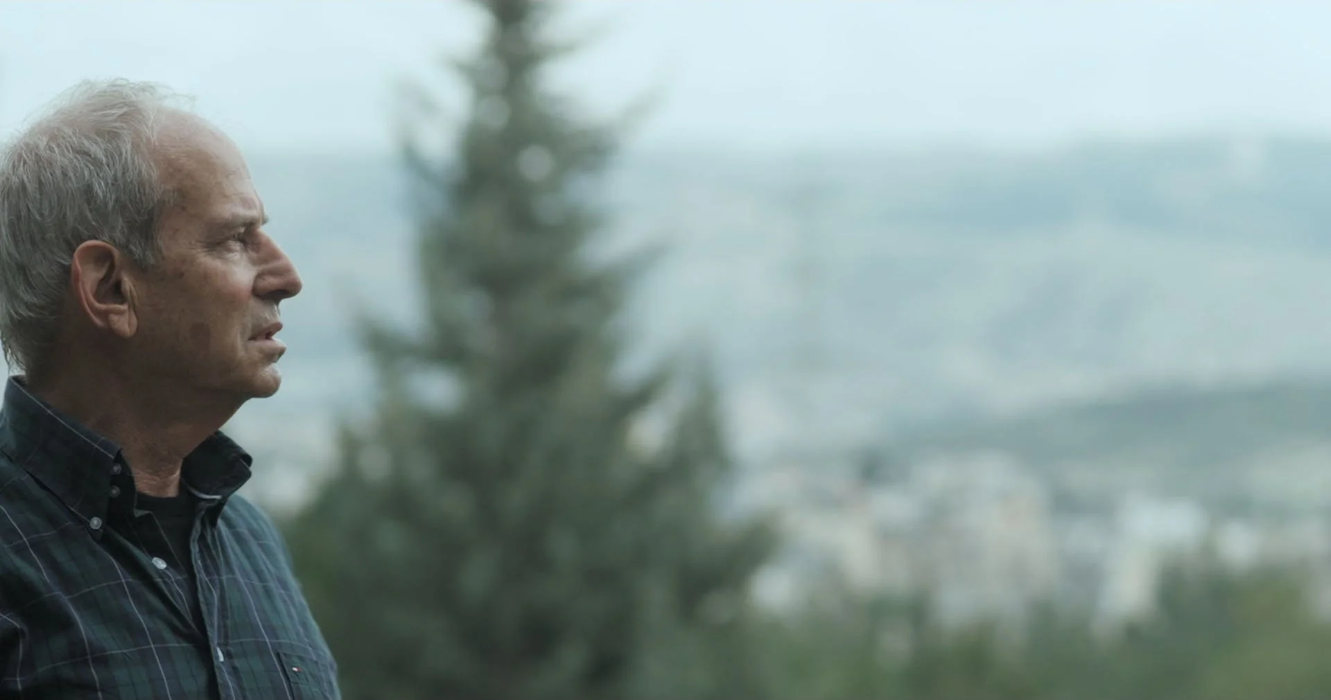 Strange Birds_1.165.1-min.jpg