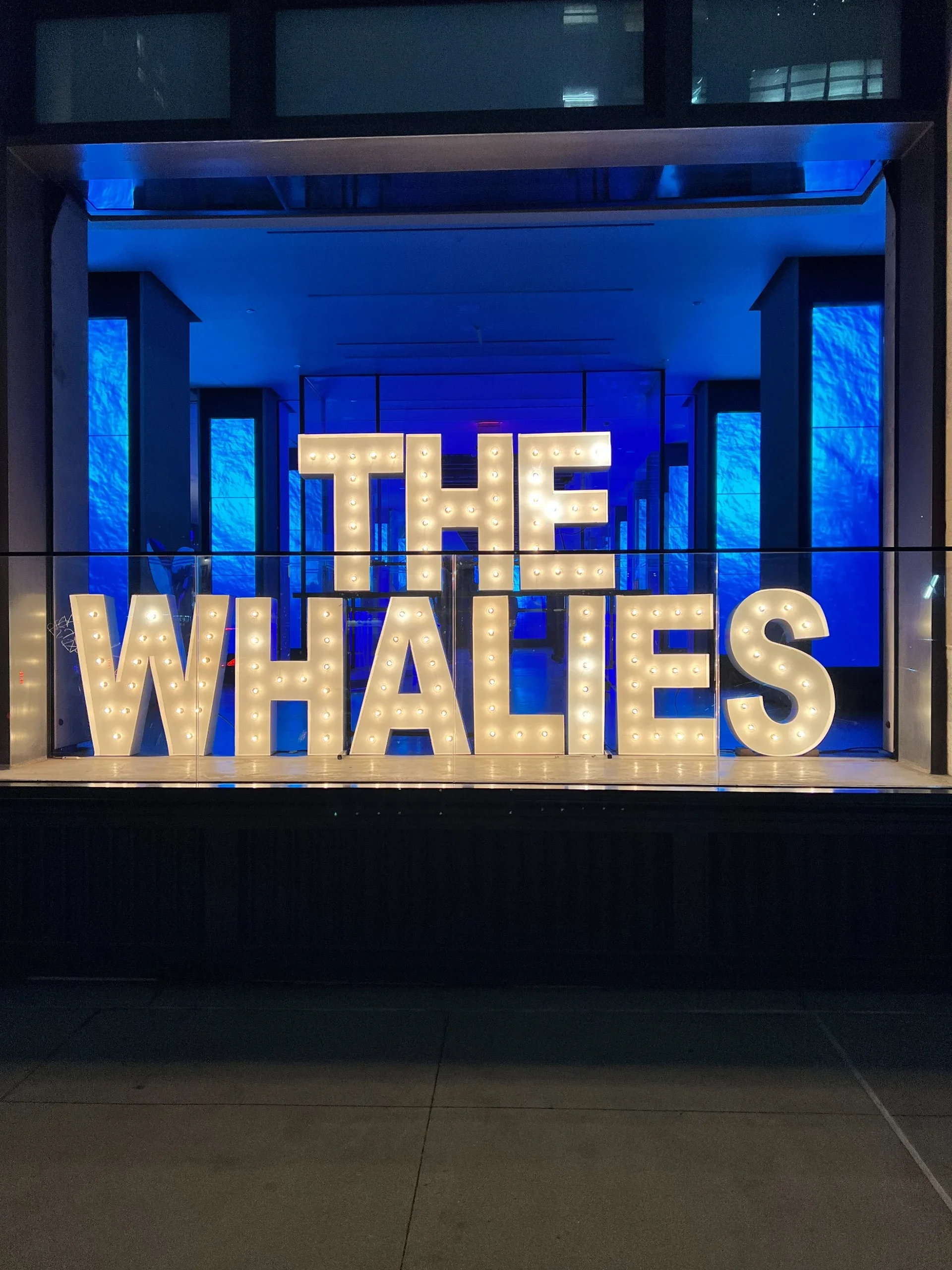 Aria Melody DJ providing premium entertainment as the best corporate events DJ in NYC, delivering a modern and sophisticated atmosphere for professionals.