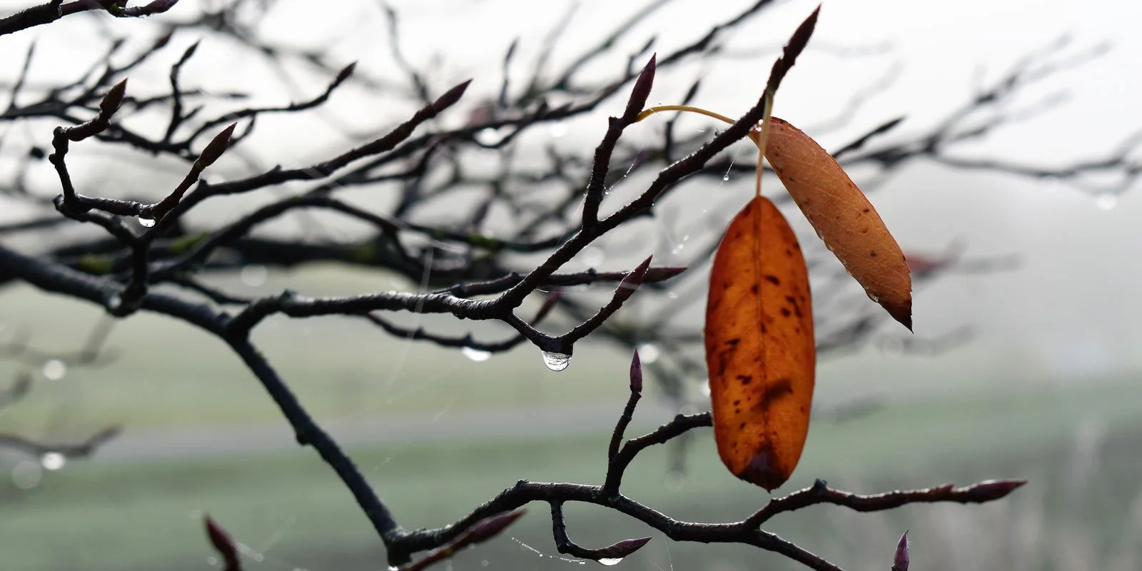 The Top 5 Health Tips for Cold Weather Seasons