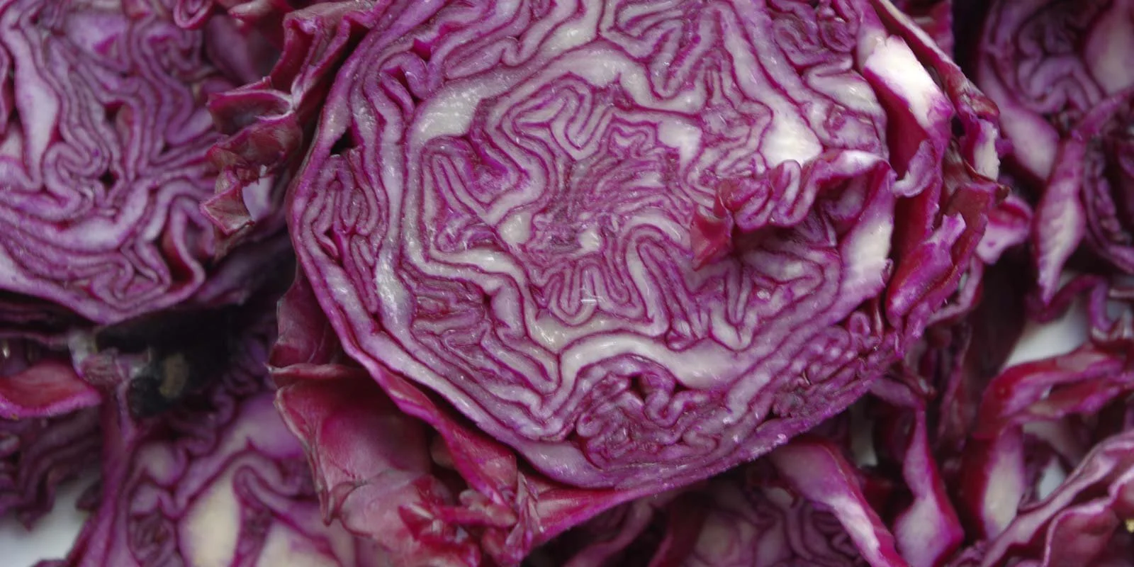 Detoxifying Vegan Coleslaw