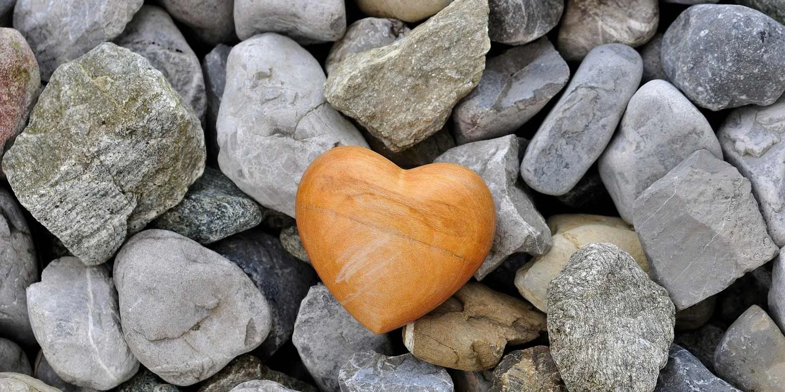 February is Heart Month!