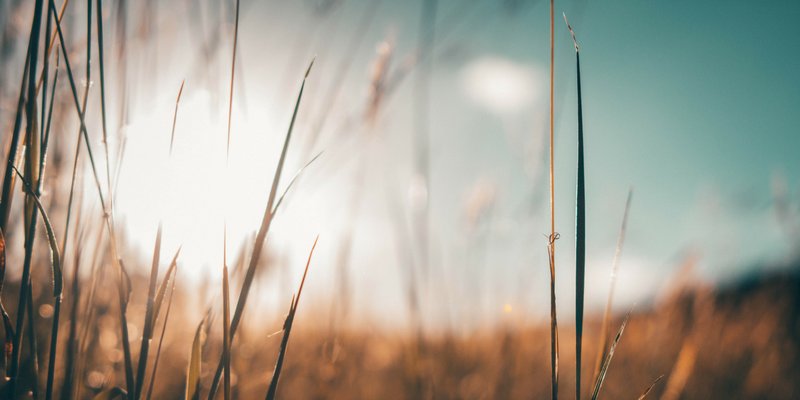 What’s your Stress ‘mindset’? What we Believe Matters