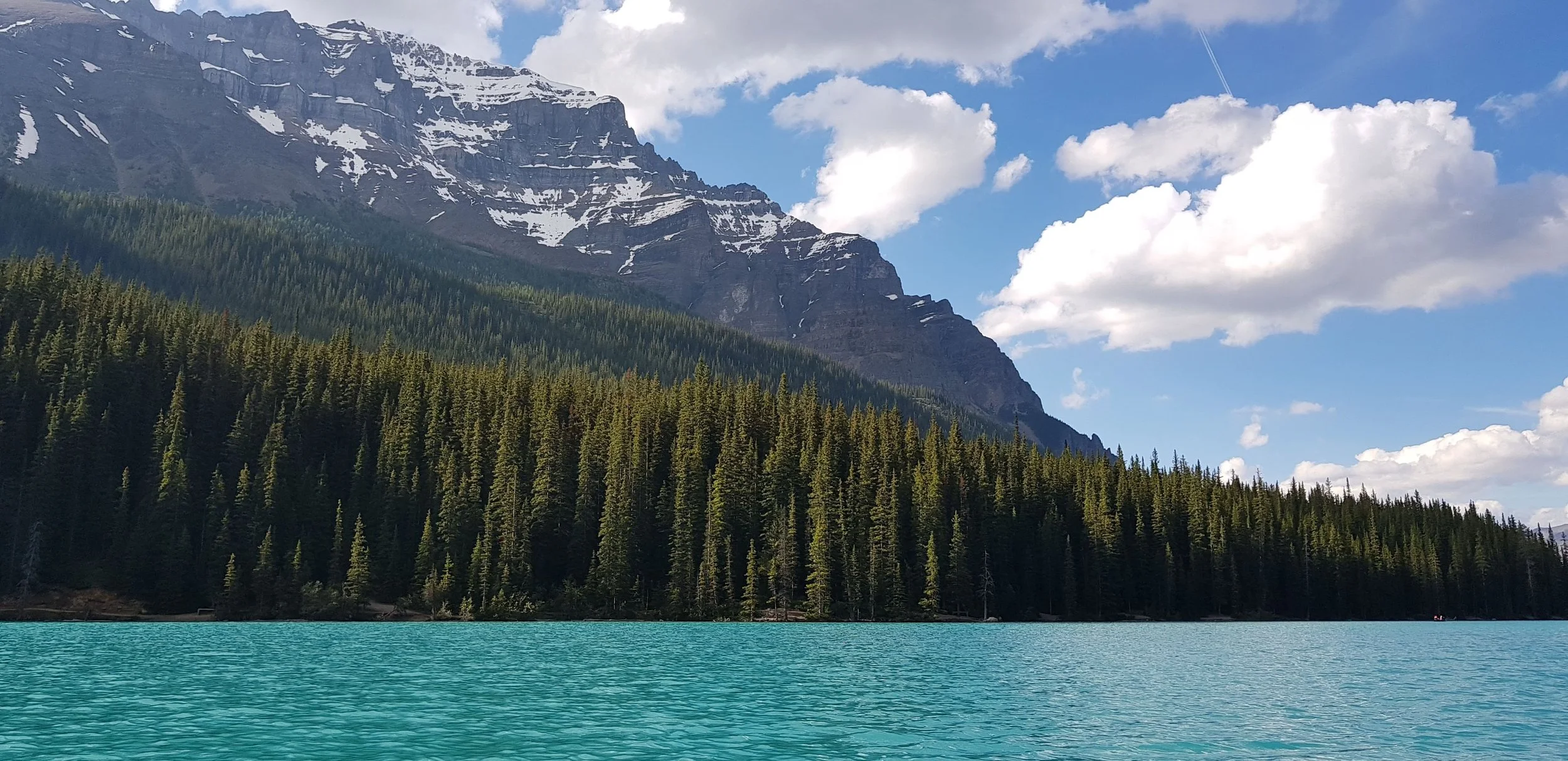 Resilience – An Integrative Perspective