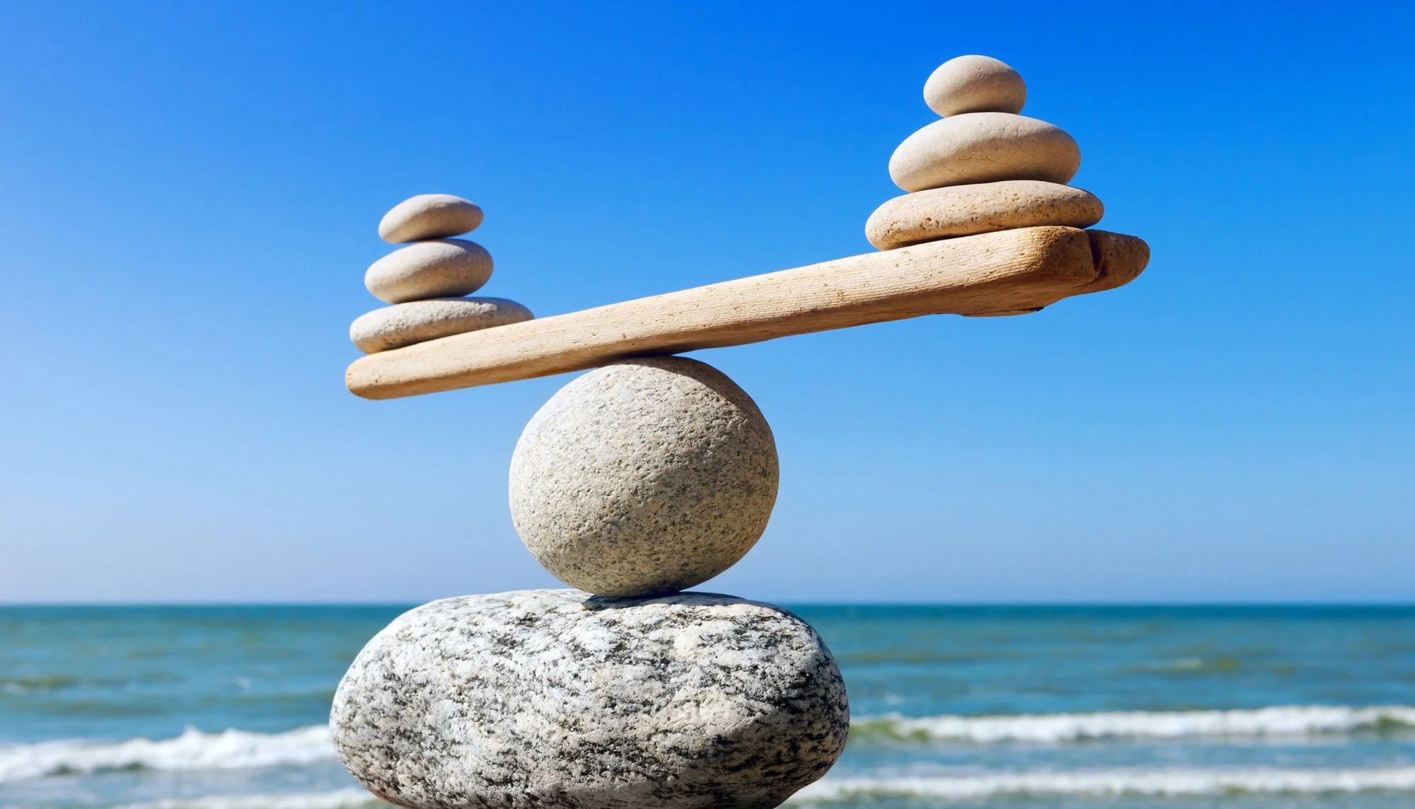 Estrogen Dominance and Hormone Disruptors