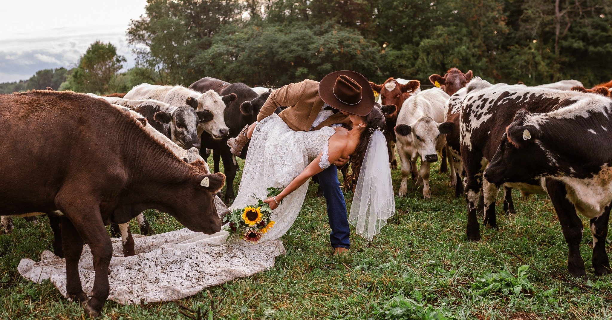 C'est &quot;vachement&quot; bien entour&eacute;s que nous avons entrepris un nouveau chapitre de nos vies : celui de couple mari&eacute;! 🌻🐂

------------------------------------------------------------------------------

It is incredibly well surr