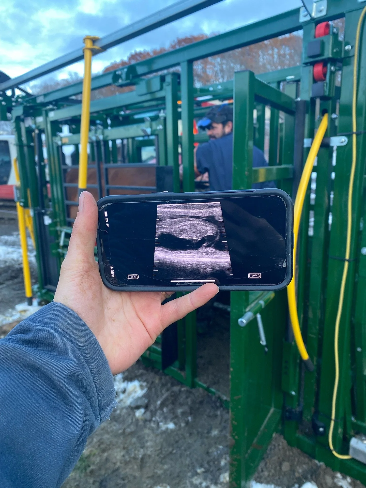 C'est le temps des tests de gestation! 🐮🩺

Les &eacute;chographies sont des outils pr&eacute;cieux pour les producteurs de bovins; ils nous permettent de confirmer la gestation, et m&ecirc;me de pr&eacute;dire la date de mise-bas des animaux &agrav