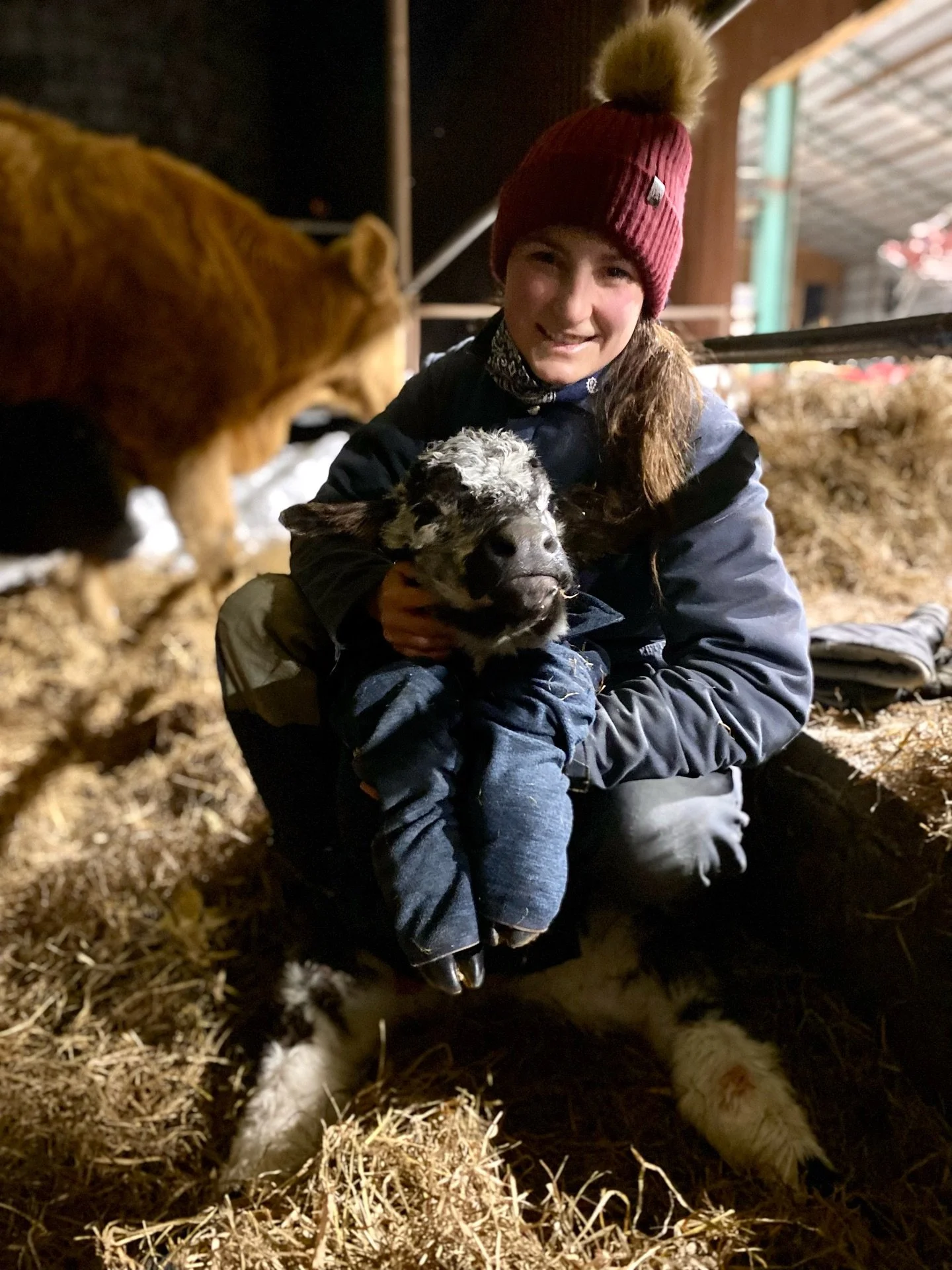 Une vache nous a r&eacute;serv&eacute; un cadeau bien sp&eacute;cial! 🐮🎀

En effet, nous visons normalement une saison de v&ecirc;lages naturelle au Printemps, or il arrive que certains individus en d&eacute;cident autrement! 🤷&zwj;♀️

Quand les t