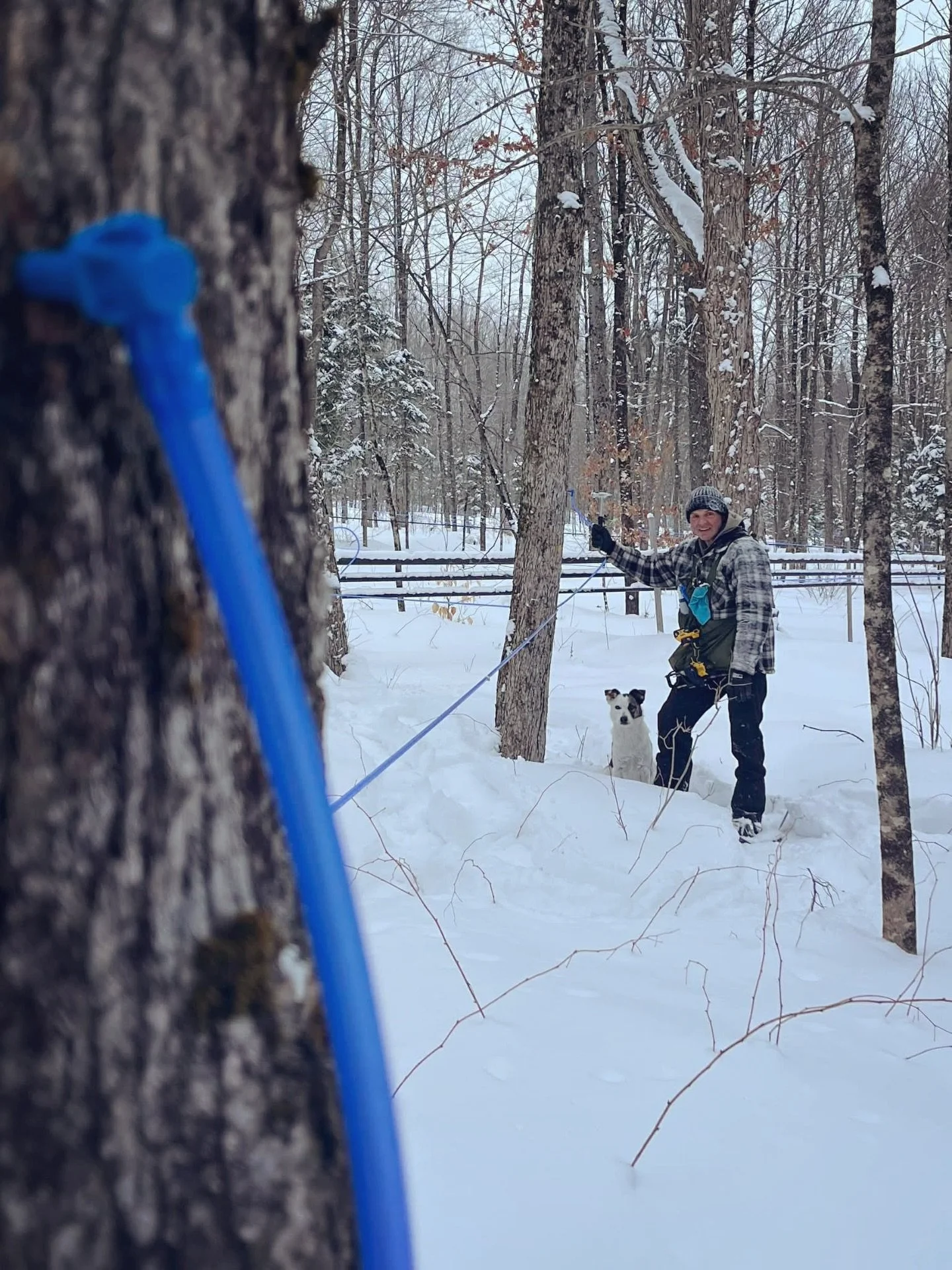 Derniers pr&eacute;paratifs en famille avant le d&eacute;but de la saison des sucres 2026! 😍🍁
------------------------------------
Last steps before the beginning of our 2026 sugaring season! 😍🍁

#maple #sugaring #organic #familyfarm #springisher