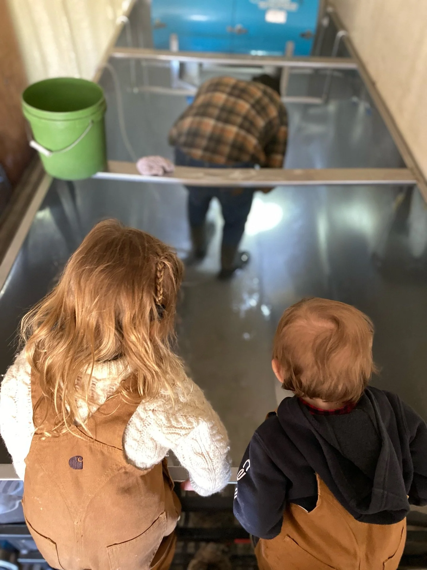 Le quotidien ces derniers temps! ✨

Nettoyage des stations de pompage.
Essai &agrave; la ferme: les loupes 360.
Boeuf hach&eacute; enfin de retour en inventaire!
L'osmoseur et ses caprices.
De la visite aux silos annon&ccedil;ant que la saison tire &