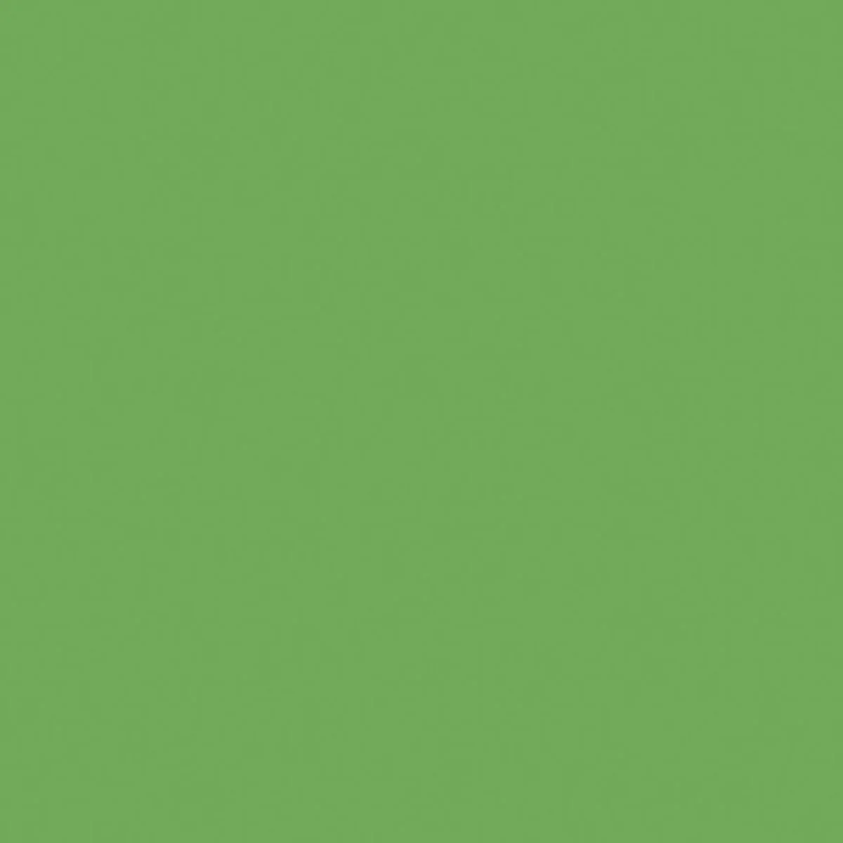C120-RILEYGREEN.jpg