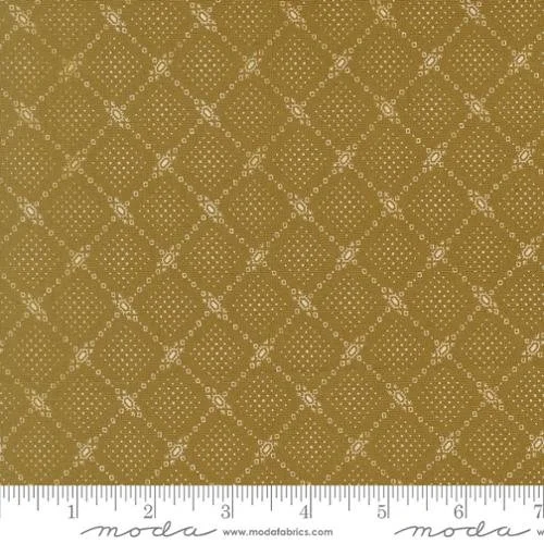 35448-14 Olive.jpg