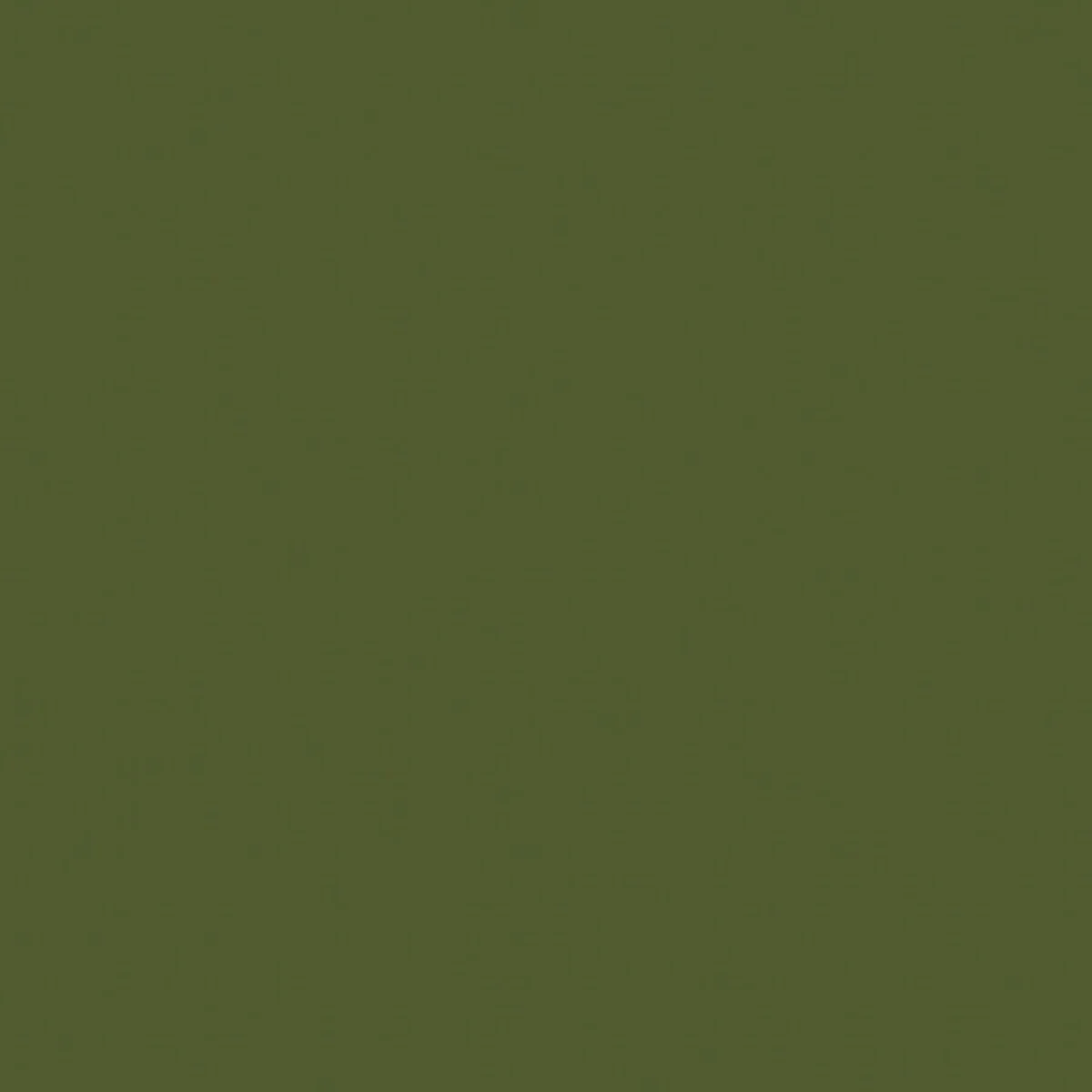 C120-ZUCCHINI.jpg