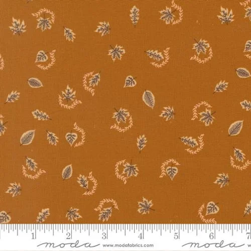 45657-18 Caramel.jpg