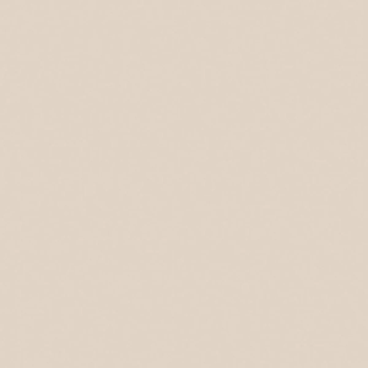 C120-LATTE.jpg