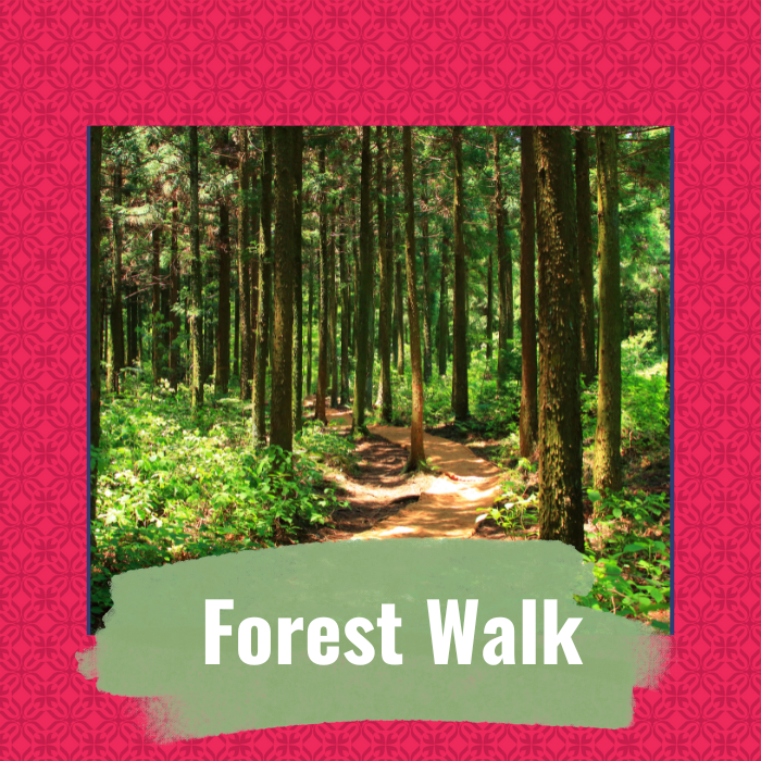 Guided Walk