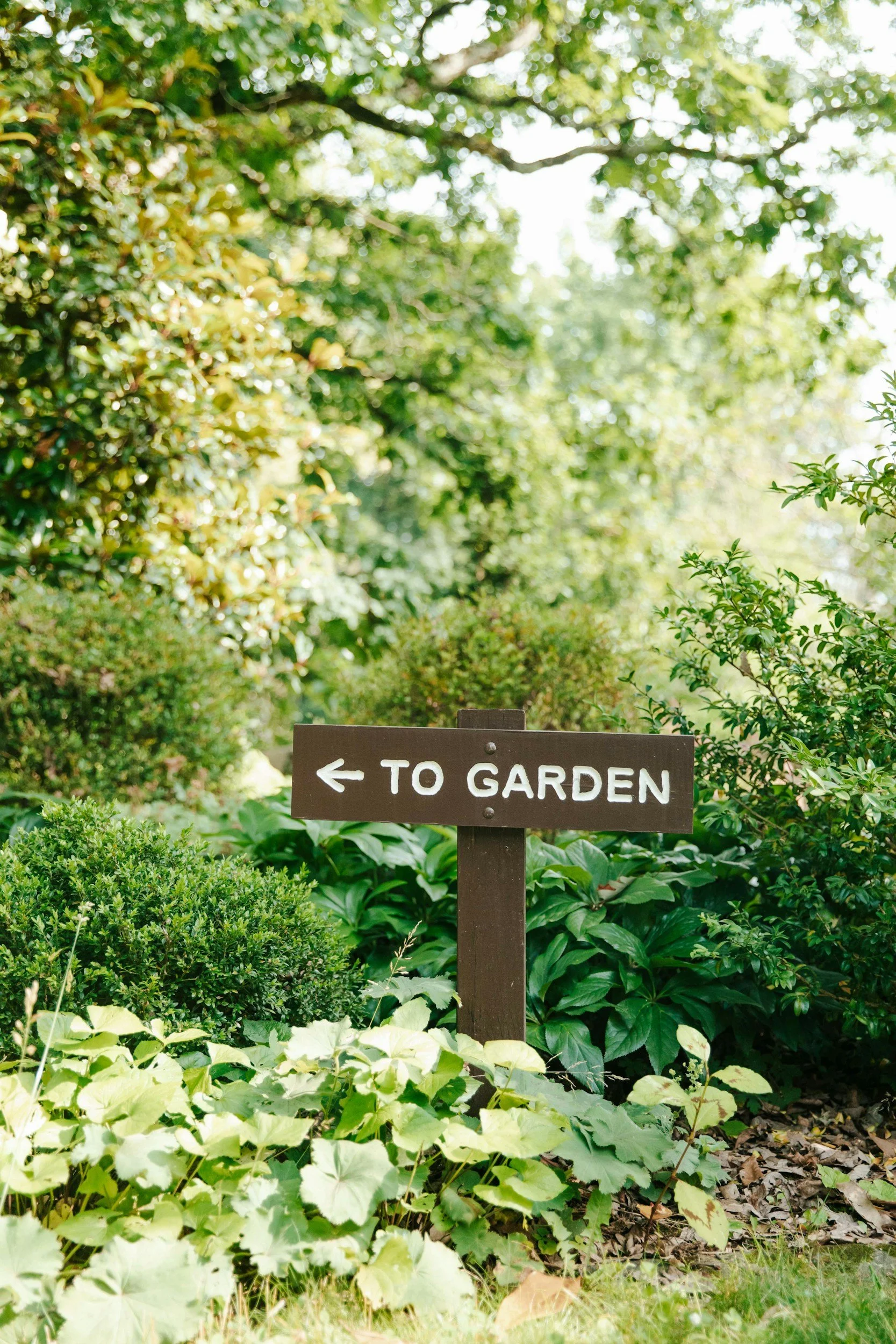 Jeannine Wilson Kindness Garden Dedication